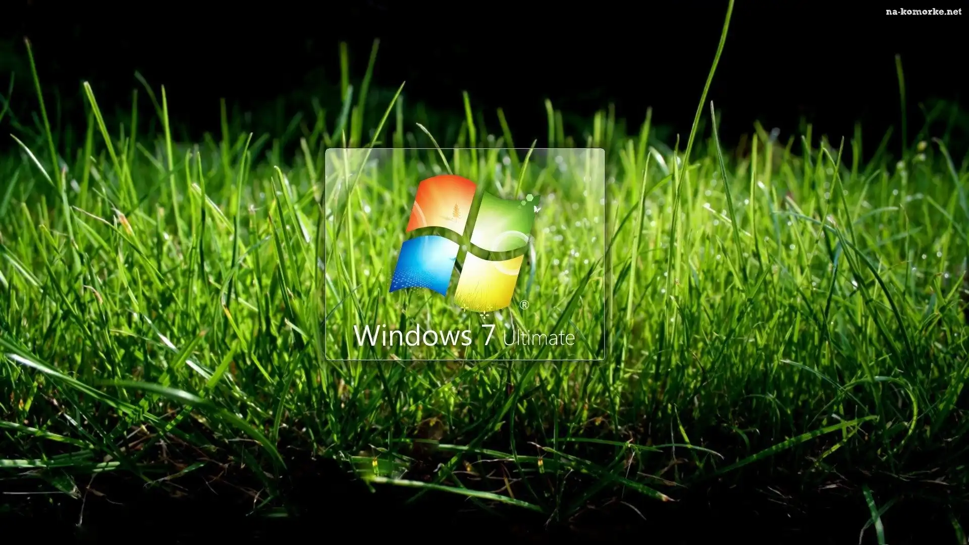 Windows 7, Trawa, Logo