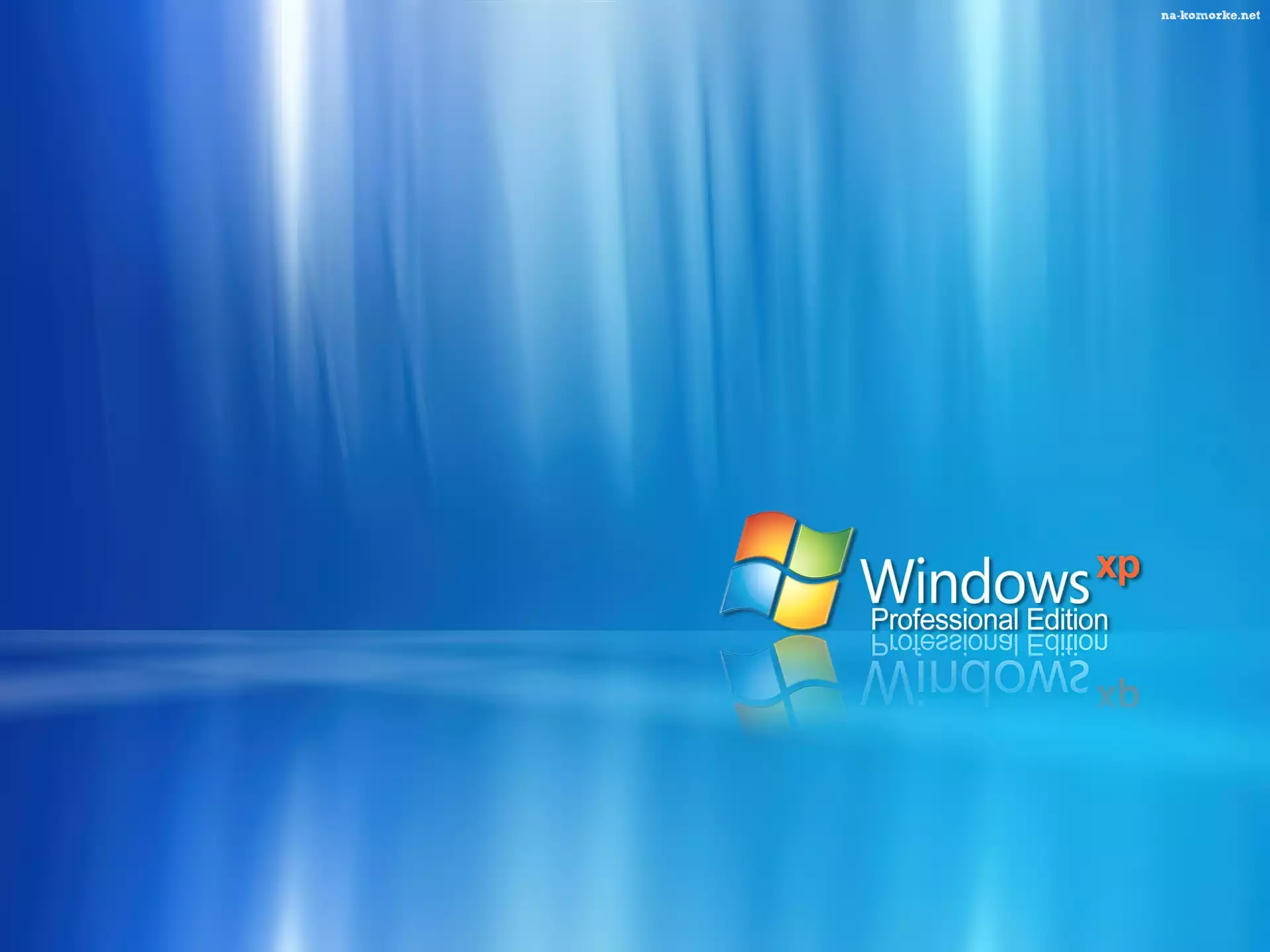 Windows XP