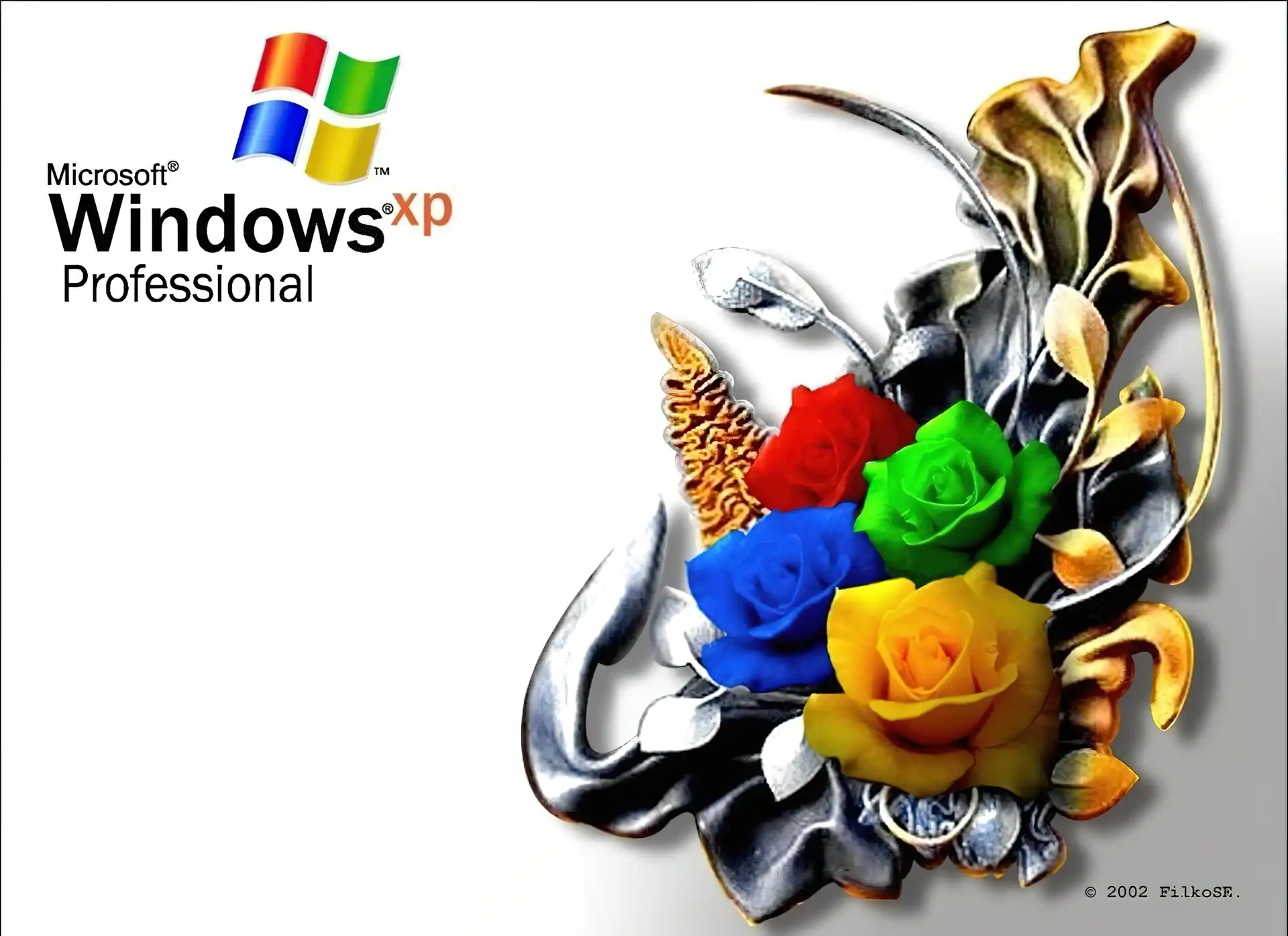 Windows, Róż, XP, Wiązanka