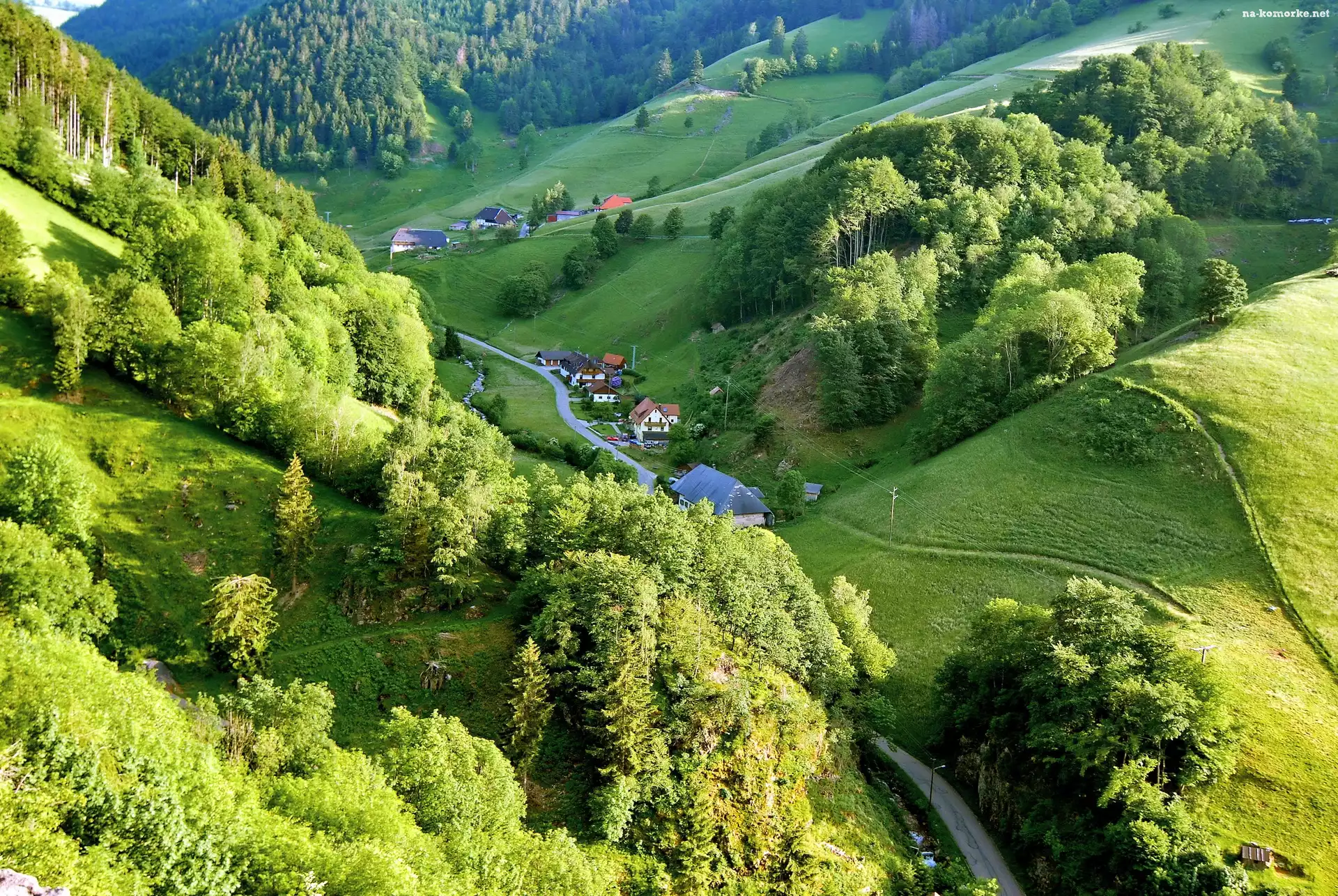 Wioska Schwarzwald, Droga, Drzewa, Góry, Doliny