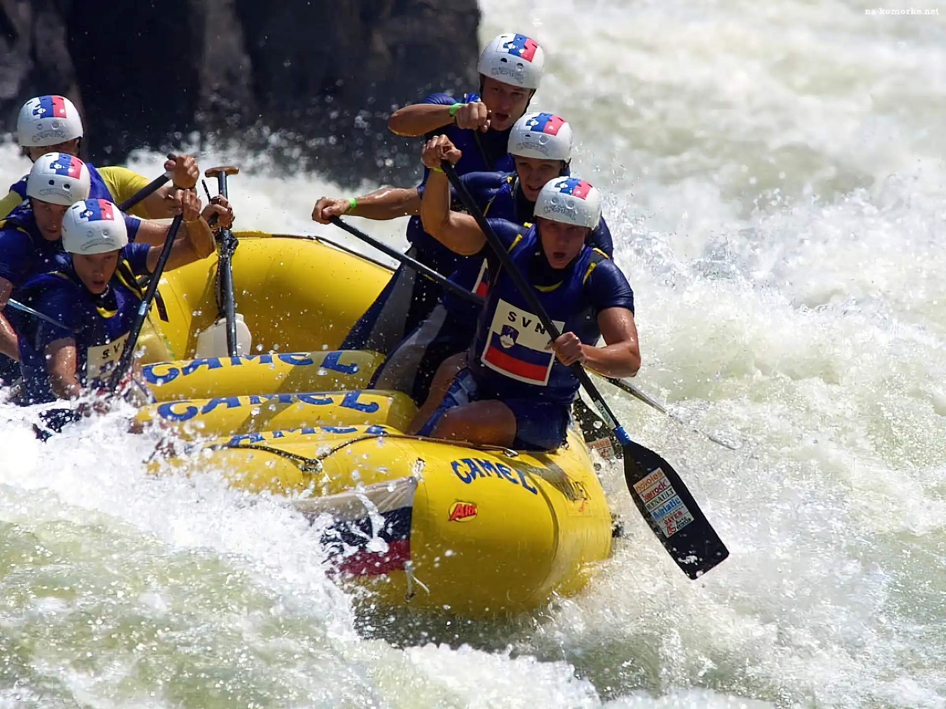 wiosła , spływ, Rafting, kaski, rzeka, ponton