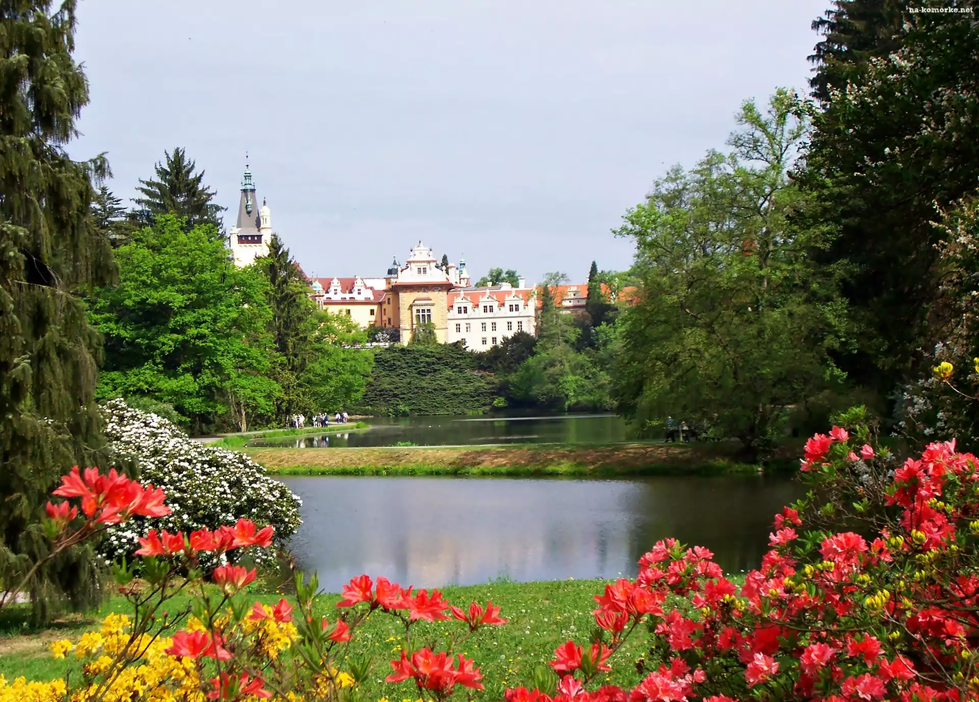 Park, Miejscowość Pruhonice, Zamek Pruhonice, Różanecznik, Czechy, Staw