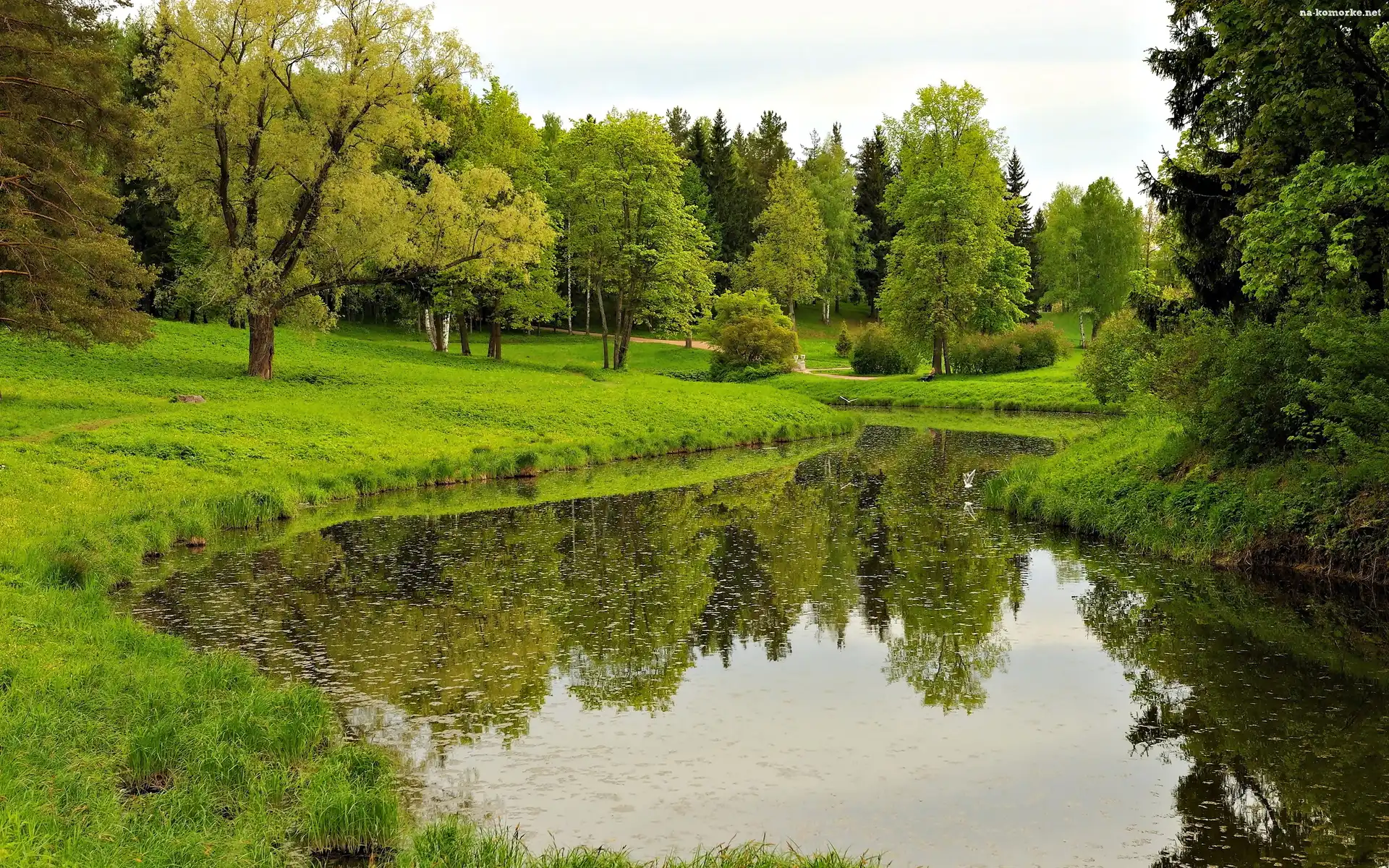 Wiosna, Park, Staw, Odbicie, Drzewa