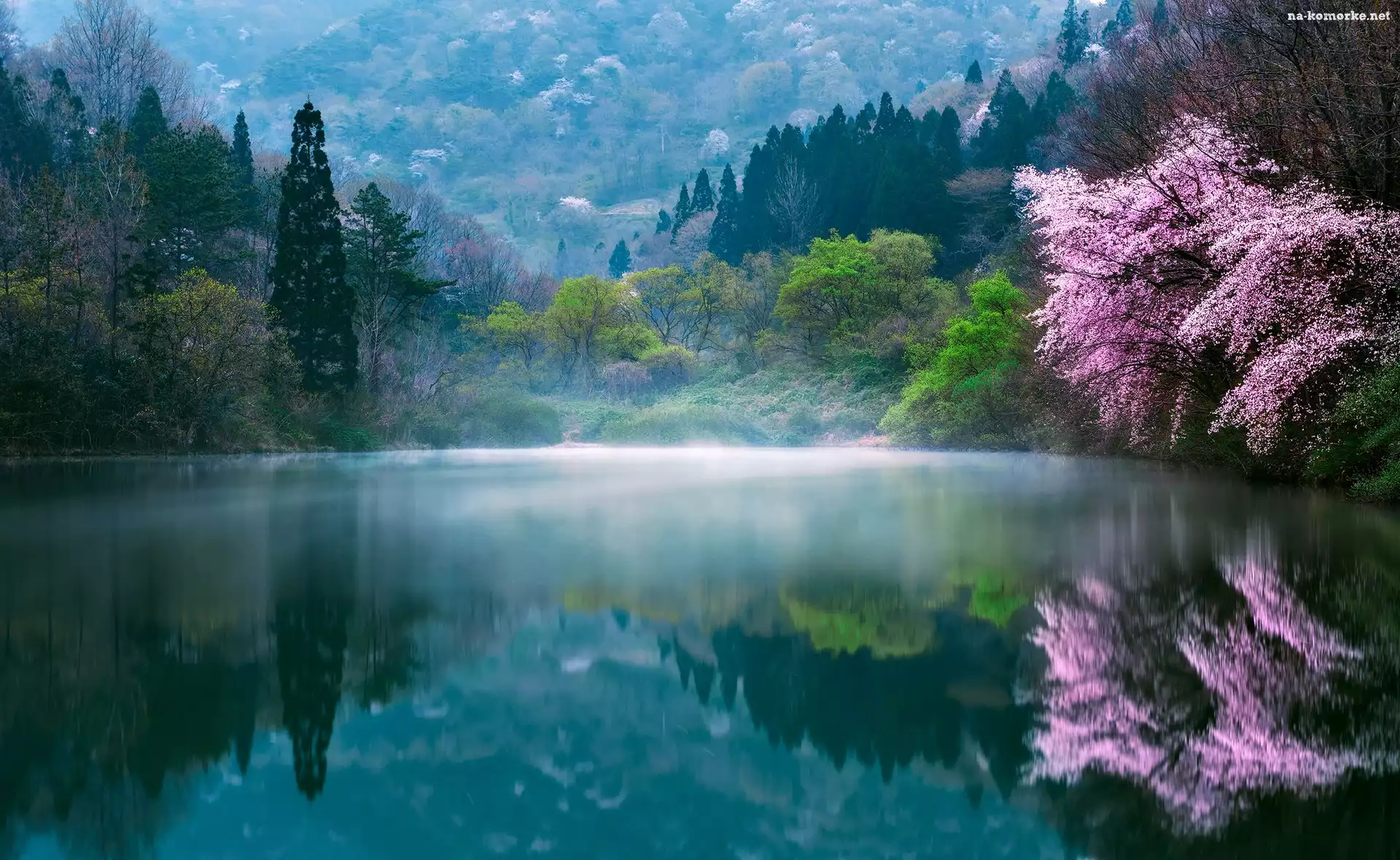 Poranek, Wiosna, Korea Południowa, Drzewa
, Jezioro, Mgła