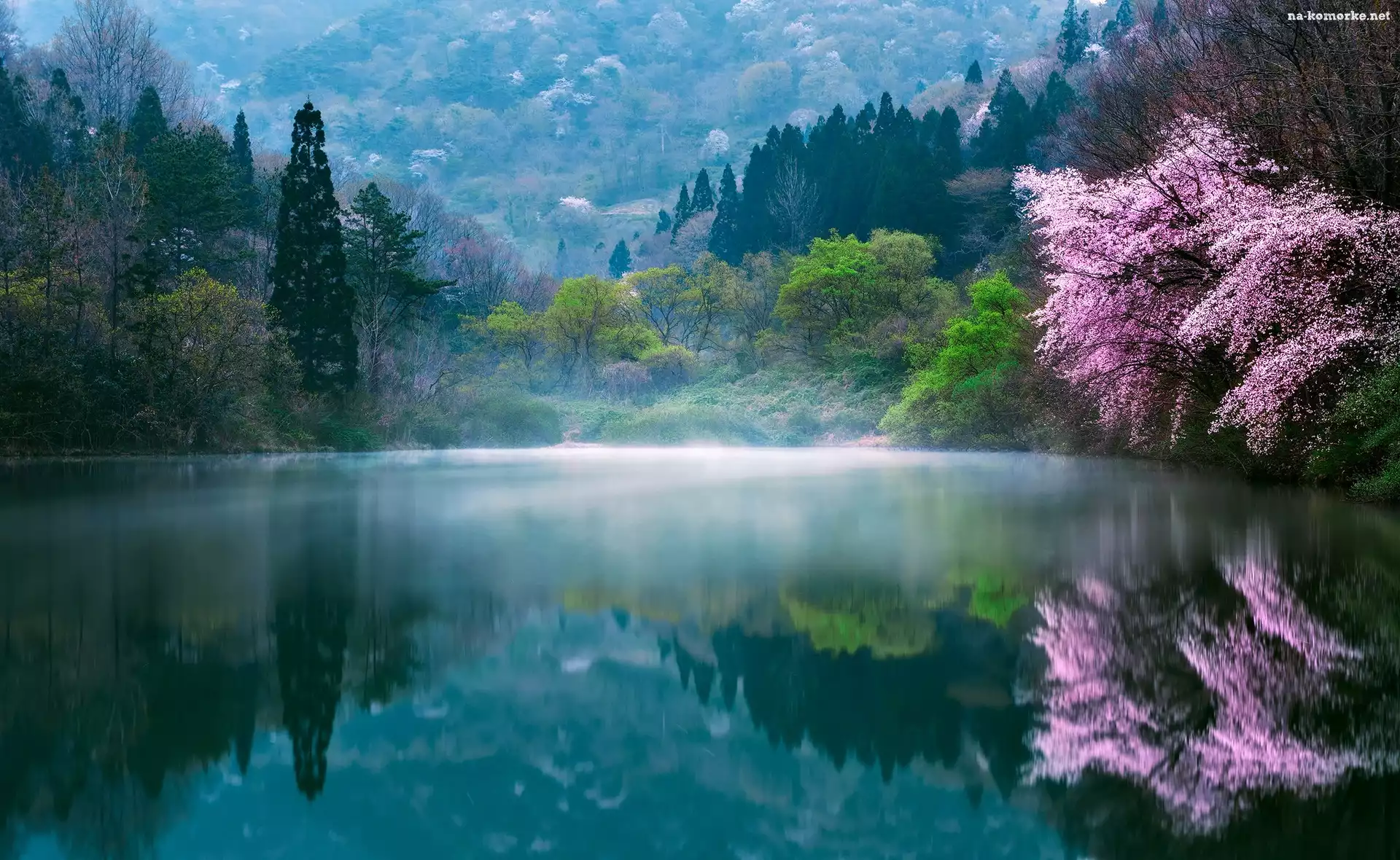 Poranek, Wiosna, Korea Południowa, Drzewa
, Jezioro, Mgła