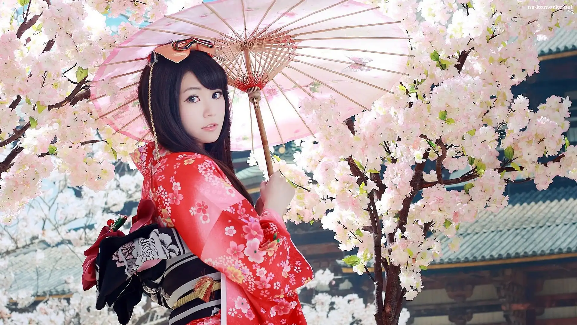 Kobieta, Wiśnia, Drzewo, Azjatka, Parasol, Kimono, Kwitnąca