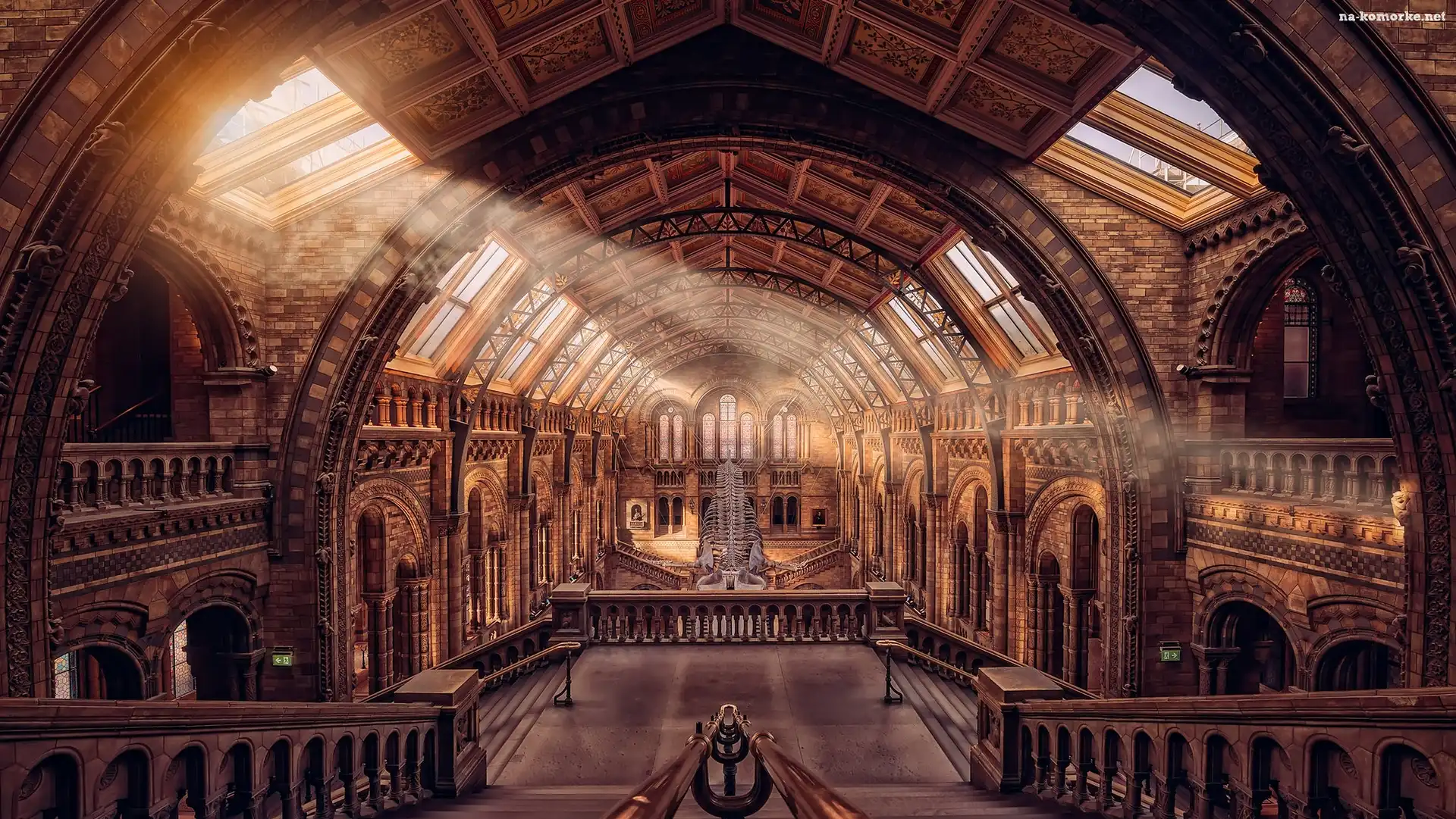 Schody, Londyn, Anglia, Przebijające światło, Muzeum Historii Naturalnej, Wnętrze