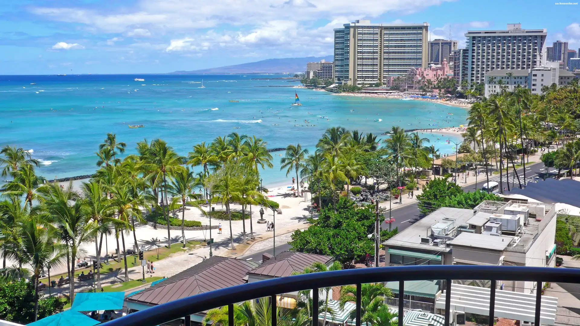 Woda, Honolulu, Hawaje, Palmy, Zabudowania
