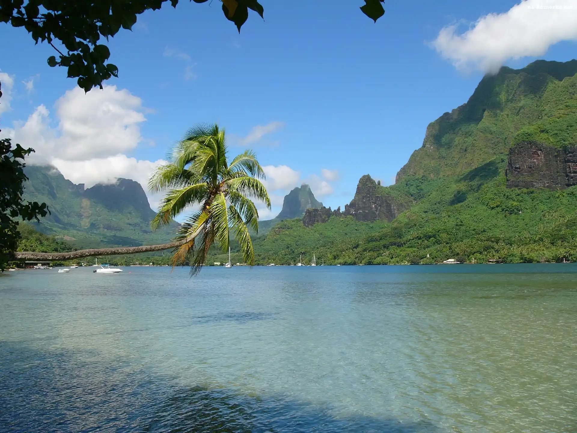 Woda, Moorea, Wyspa, Góry, Zatoka, Palma