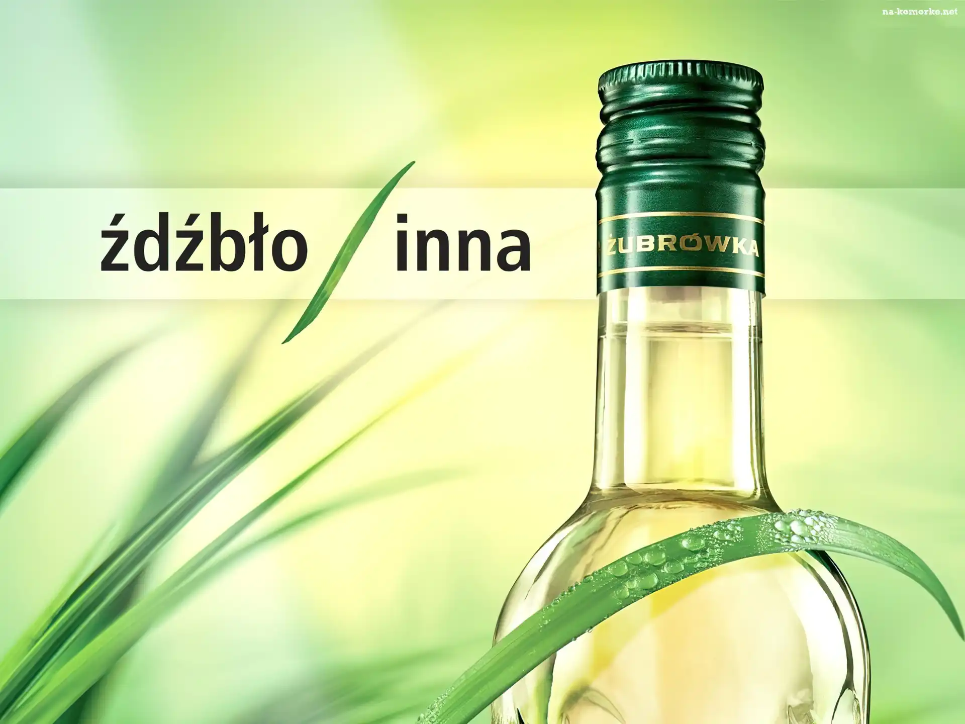 Wódka, Trawy, Żubrówka, Źdźbła