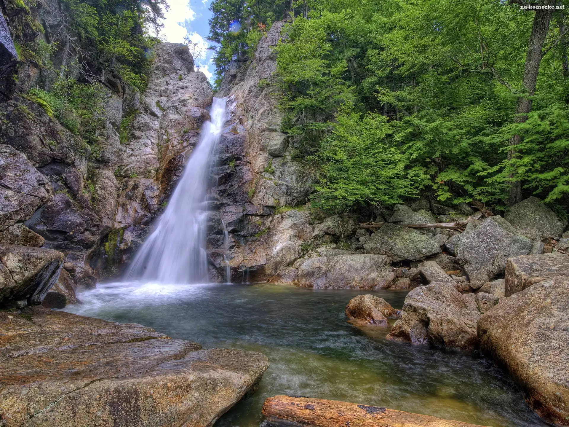 Drzewa, Krzewy, Wodospad, Kamienie