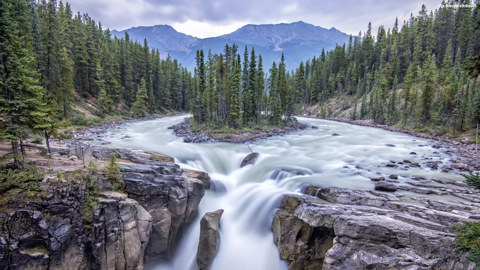 Wodospad Sunwapta Falls, Prowincja Alberta, Kanada, Rzeka Sunwapta, Park Narodowy Jasper, Góry, Drzewa