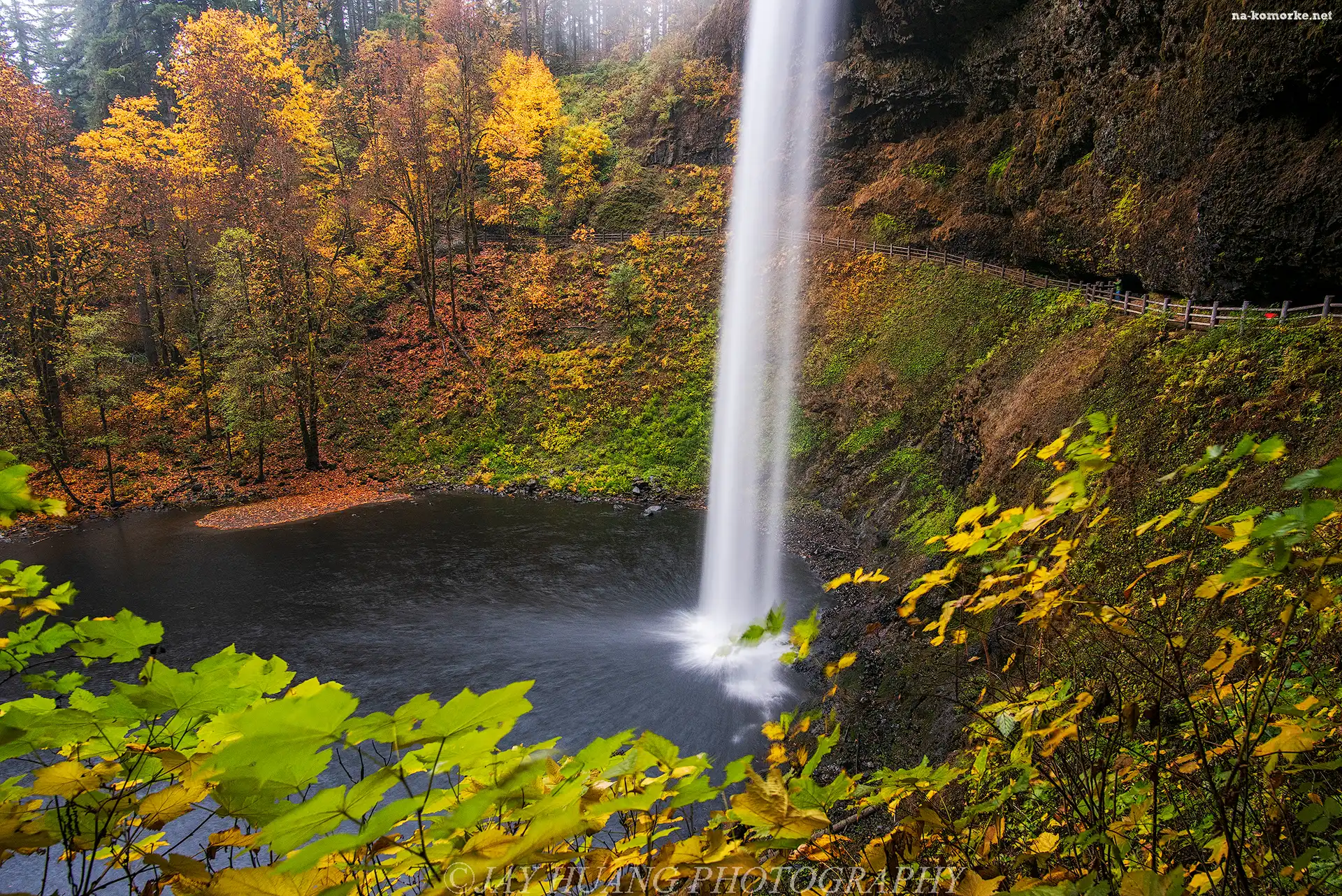 Wodospad South Falls, Oregon, Drzewa, Stany Zjednoczone, Las, Jesień, Punkt widokowy, Park miejski Silver Falls