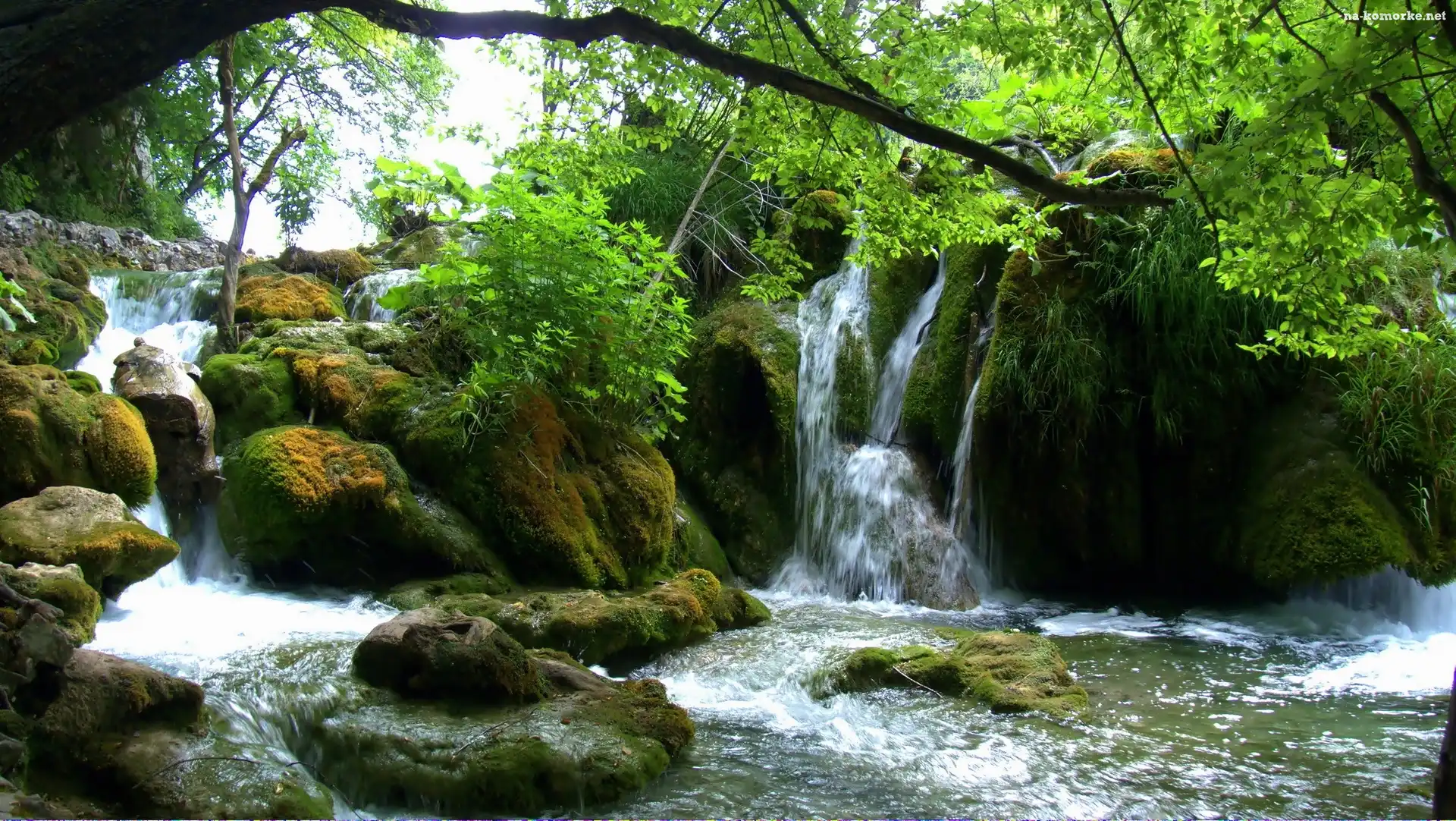 Wodospad, Plitvice, Skały, Drzewa
