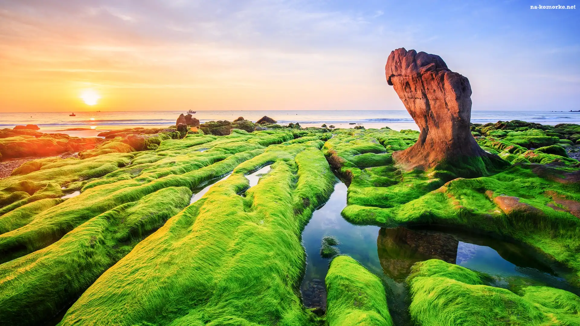 Morze, Prowincja Da Nang, Wodorosty, Wietnam, Brzeg, Skały, Wschód słońca, Plaża Nam O Beach