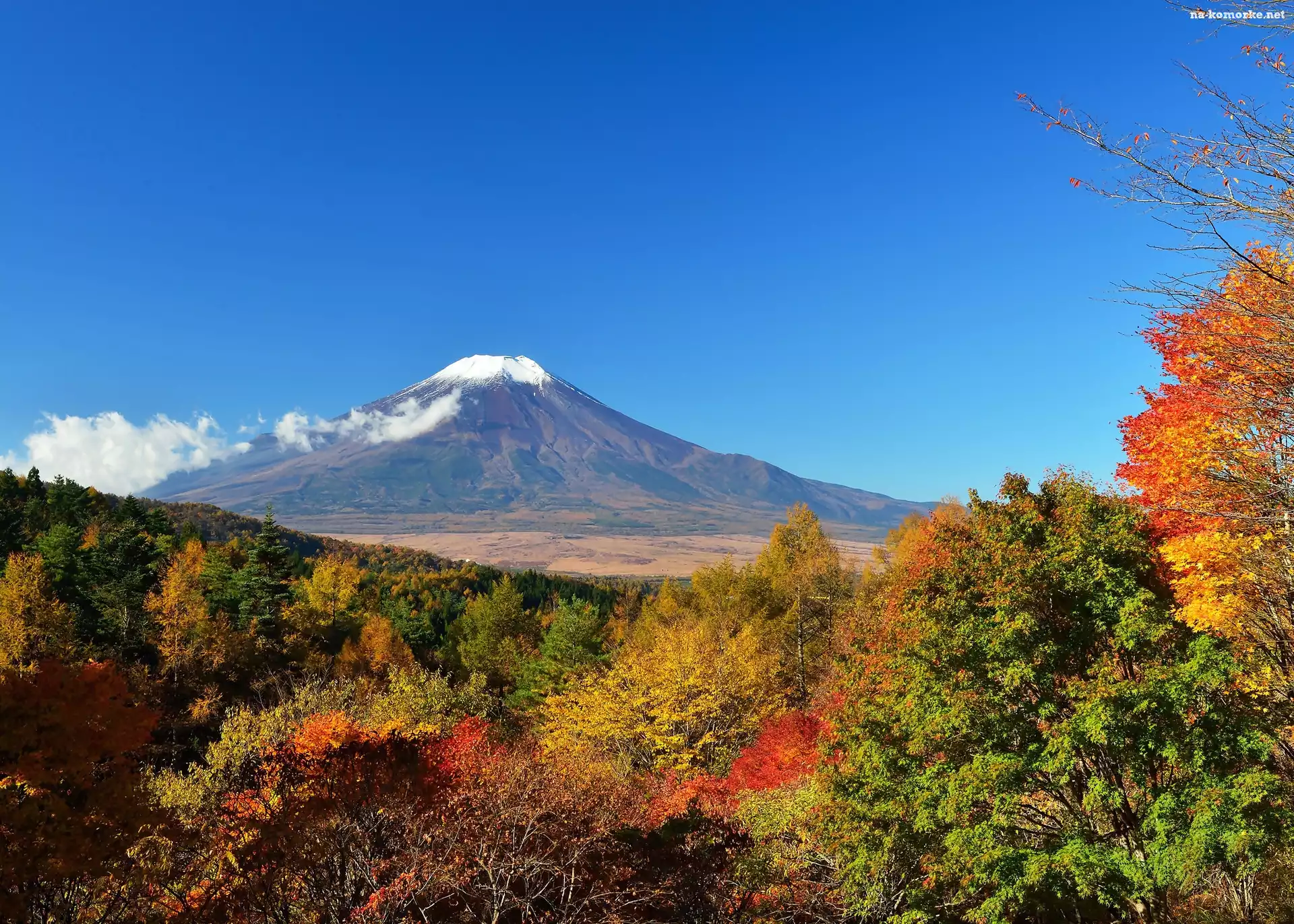 Wulkan, Góra, Fuji, Krzewy, Japonia