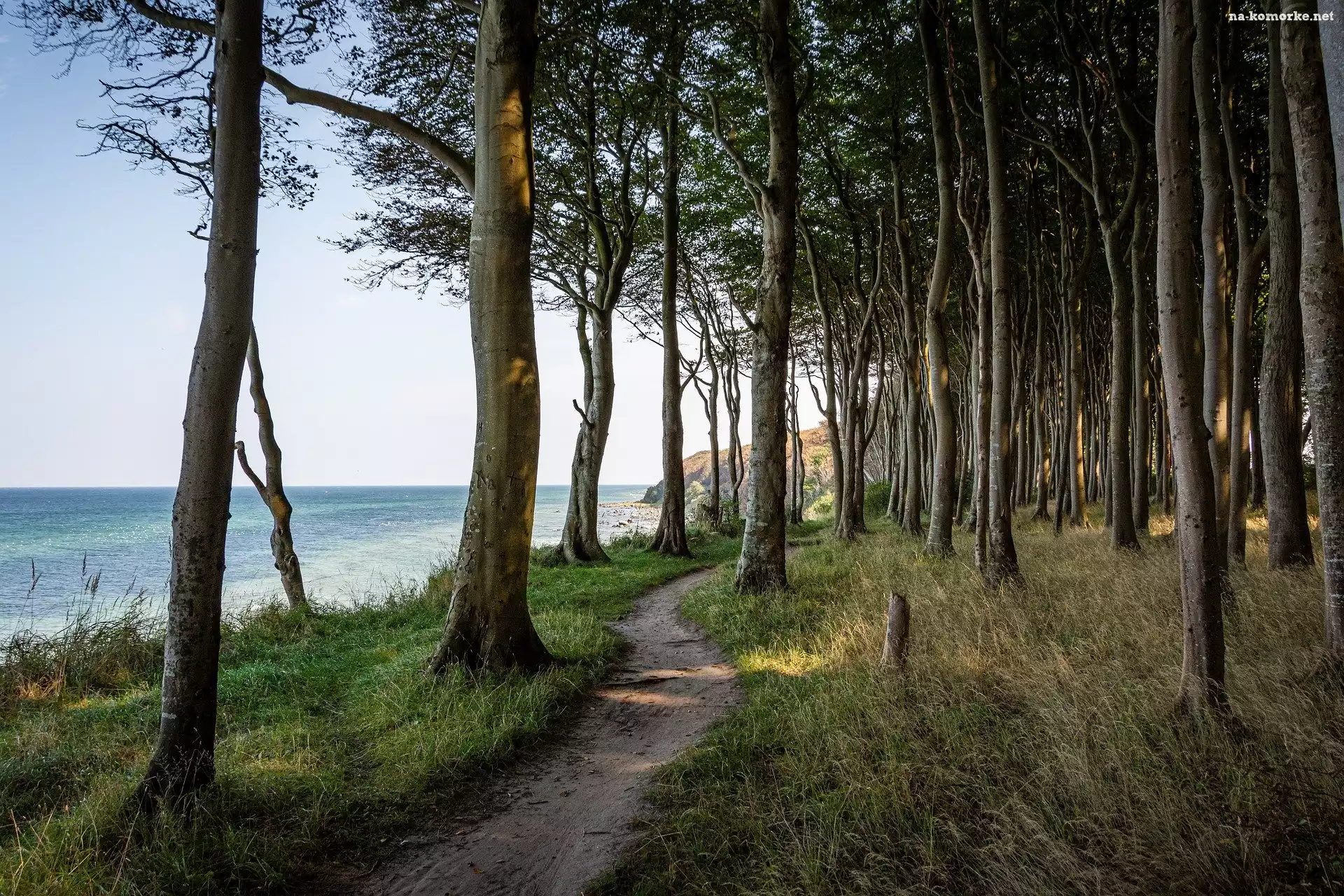 Wybrzeże, Las, Drzewa, Chmury, Morze, Ścieżka