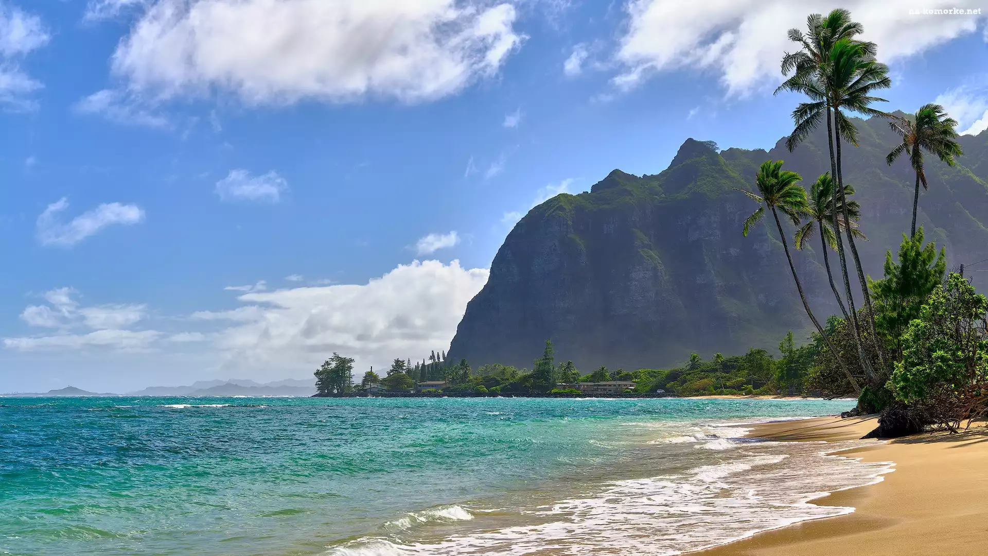 Wyspa Oahu, Plaża, Góra, Stany Zjednoczone, Skała, Palmy, Morze, Hawaje