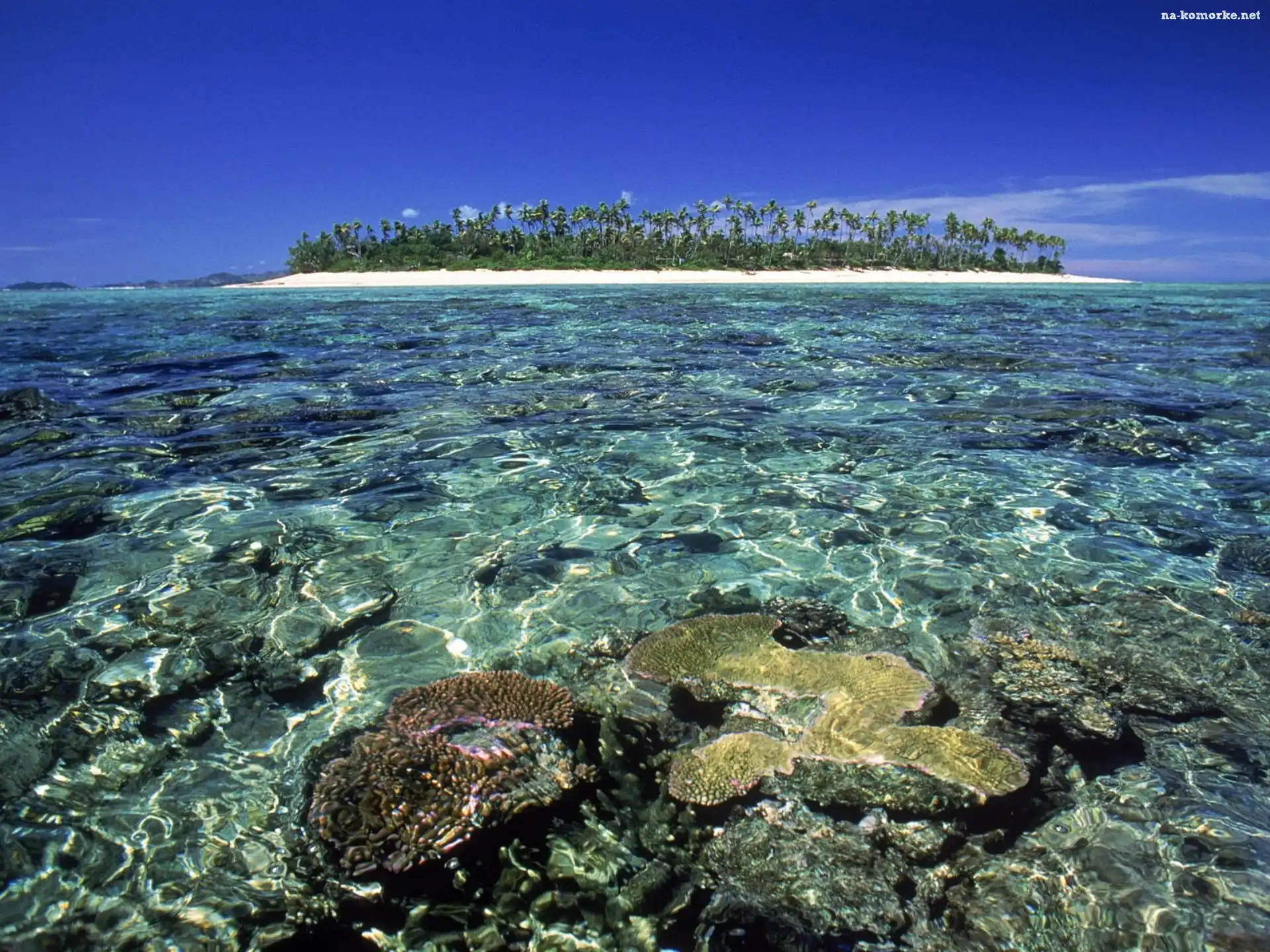Wyspa, Ocean