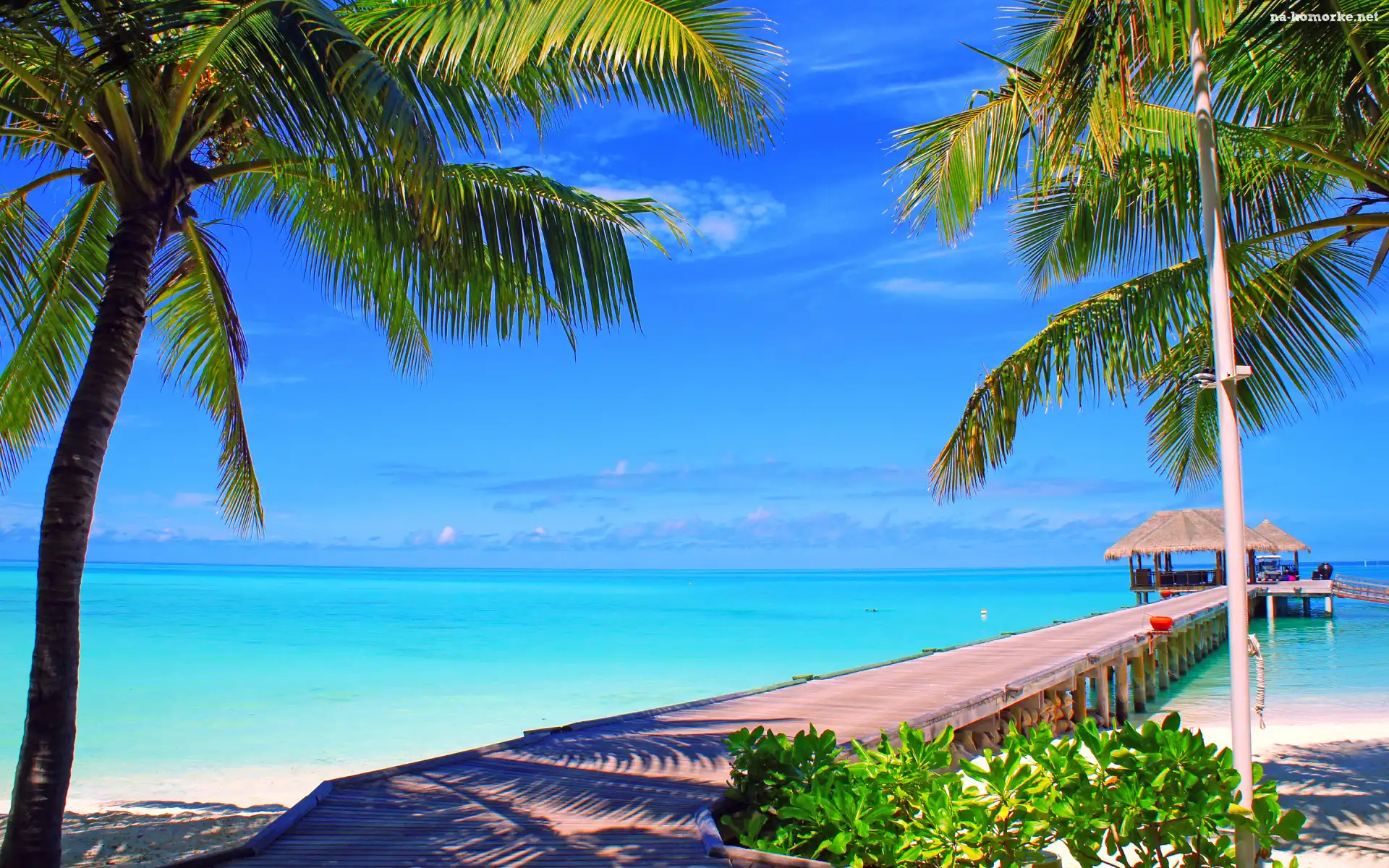 Niebo, Wyspa Nalaguraidhoo, Malediwy, Morze, Palmy, Wyspa, Pomost