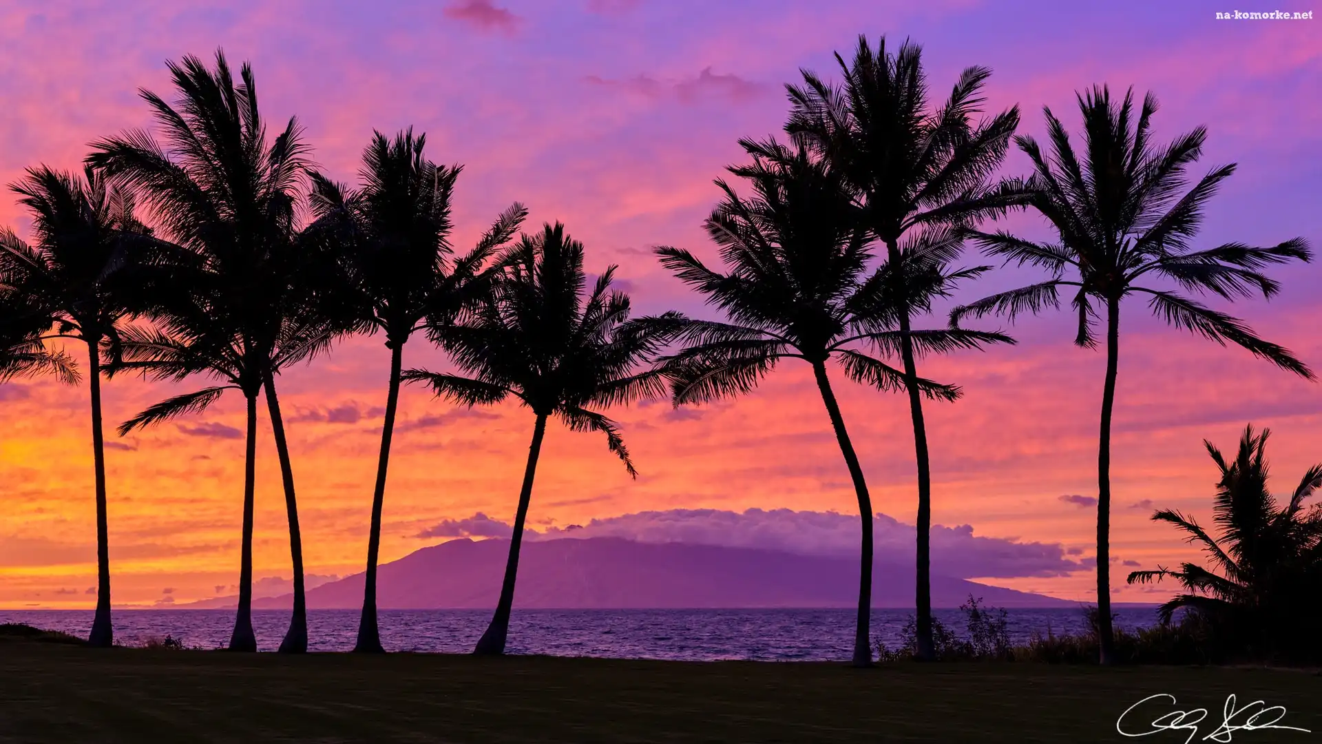 Palmy, Wyspa Maui, Hawaje, Chmury, Morze, Zachód słońca