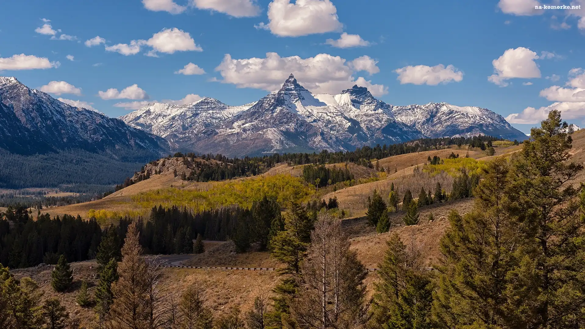 Wzgórza, Wyoming, Góry, Stany Zjednoczone, Szczyty, Drzewa, Absaroka Range