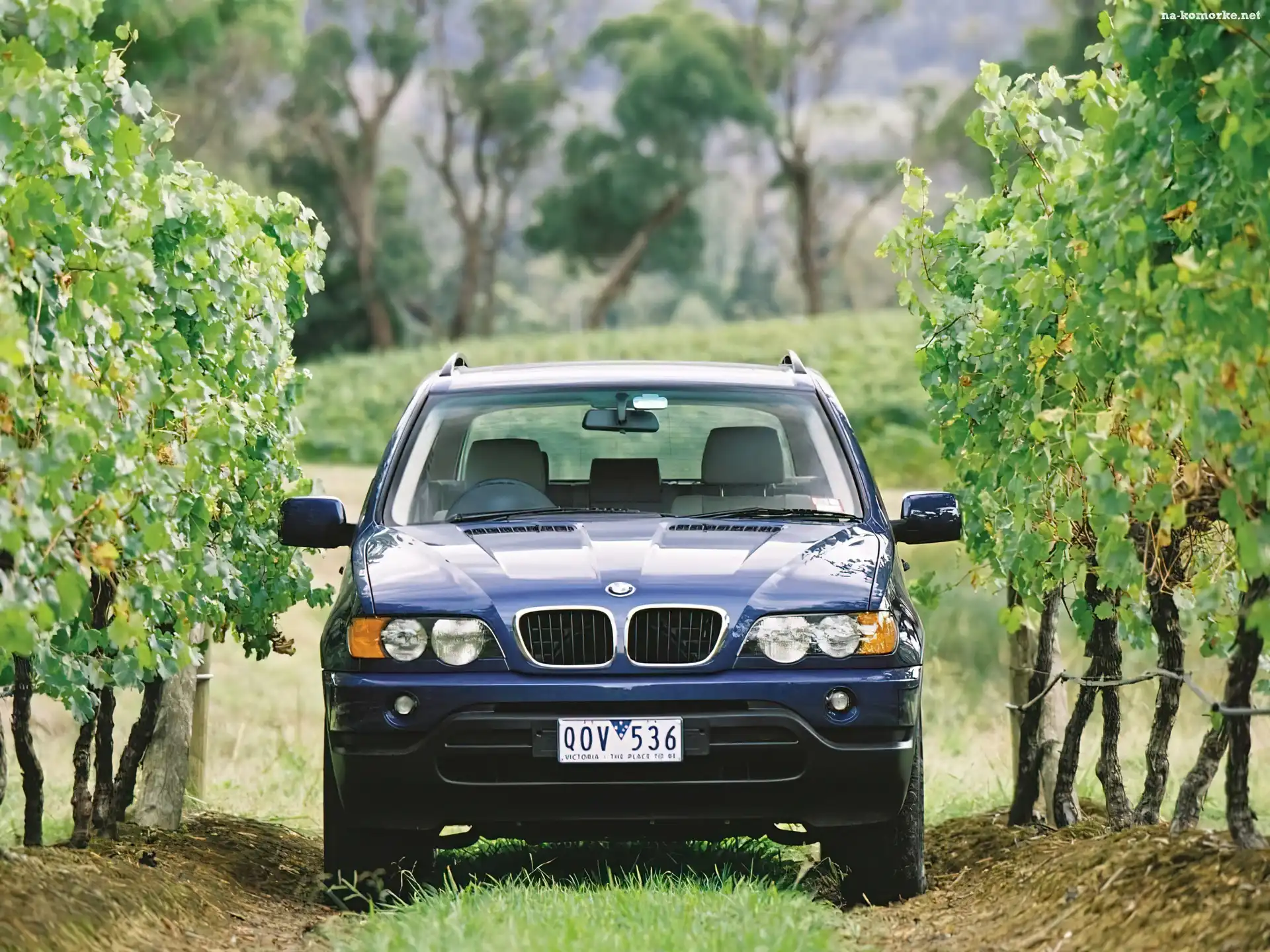 Bmw X5, Przód
