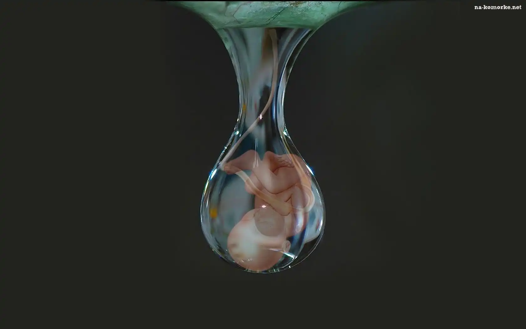 Kropla, Życia, Dziecko