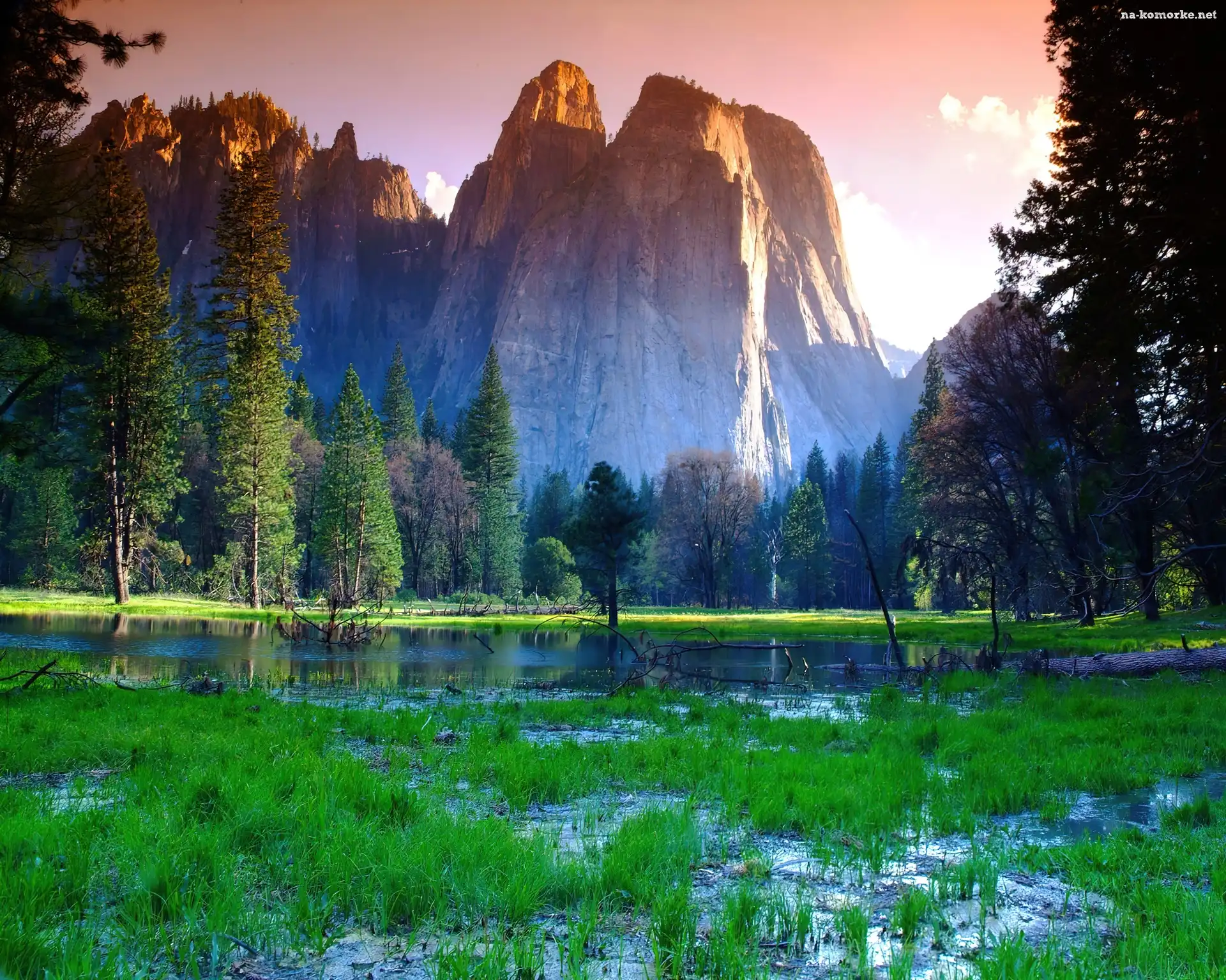 Stany Zjednoczone, Góry, Drzewa, Stan Kalifornia, Park Narodowy Yosemite, Łąka, Woda