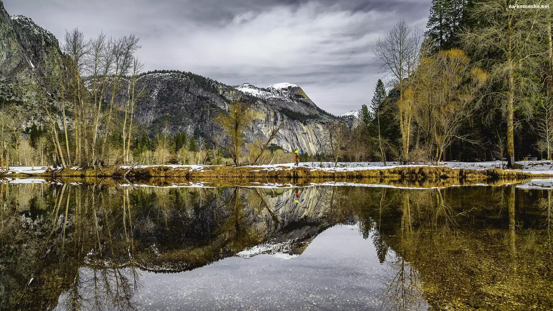 Stany Zjednoczone, Człowiek, Park Narodowy Yosemite, Odbicie, Kalifornia, Góry, Rzeka Merced, Drzewa