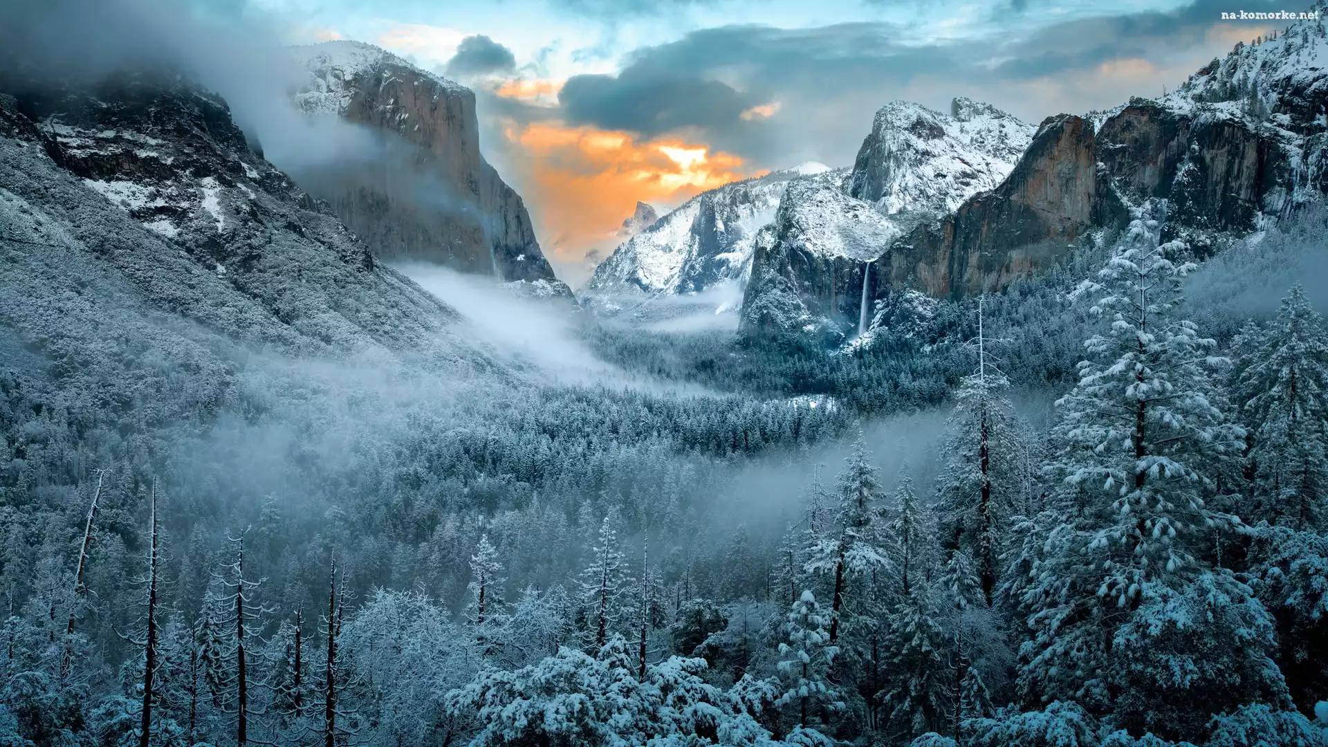 Śnieg, Kalifornia, Góry, Zima, Park Narodowy Yosemite, Stany Zjednoczone, Drzewa, Mgła