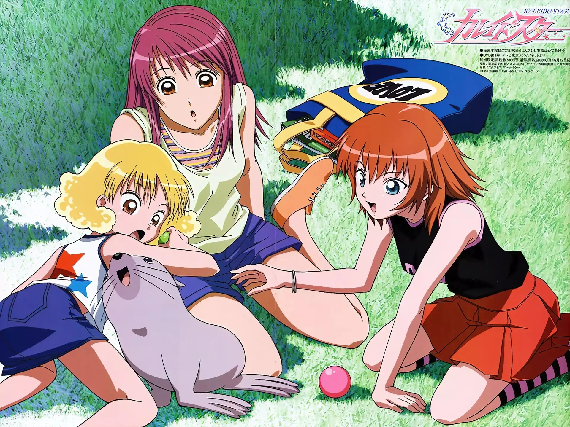 zabawa, Kaleido Star, dzieci, foka, trawa
