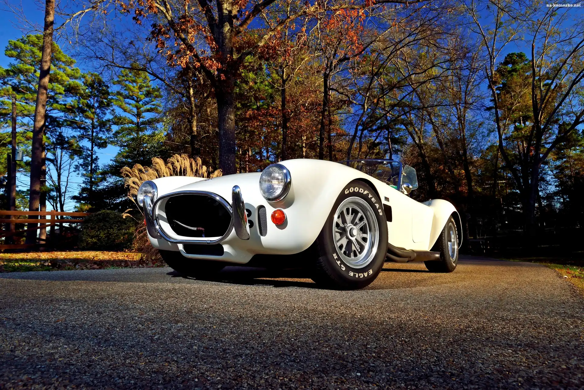 Zabytkowy, 1967, AC Cobra 427, Shelby