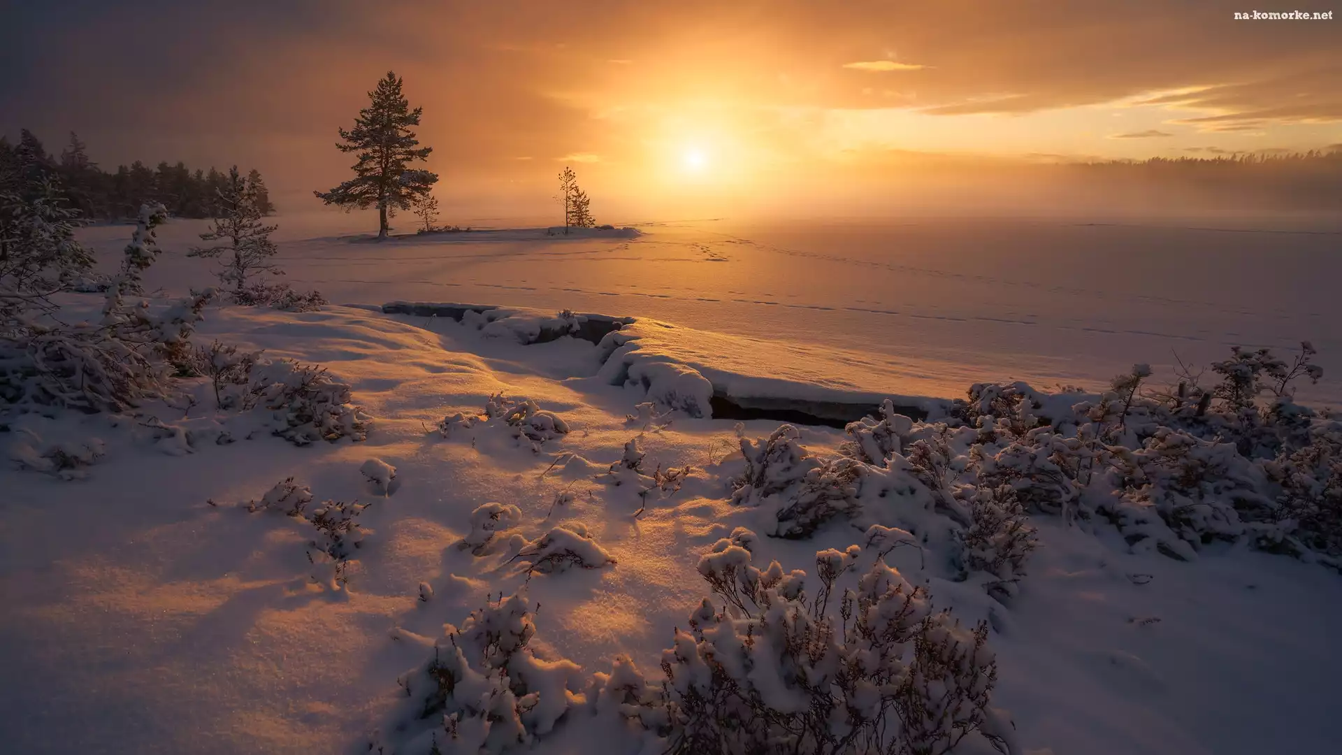 Śnieg, Zachód słońca, Drzewa, Zaśnieżone, Norwegia, Zima, Ringerike, Jezioro, Rośliny