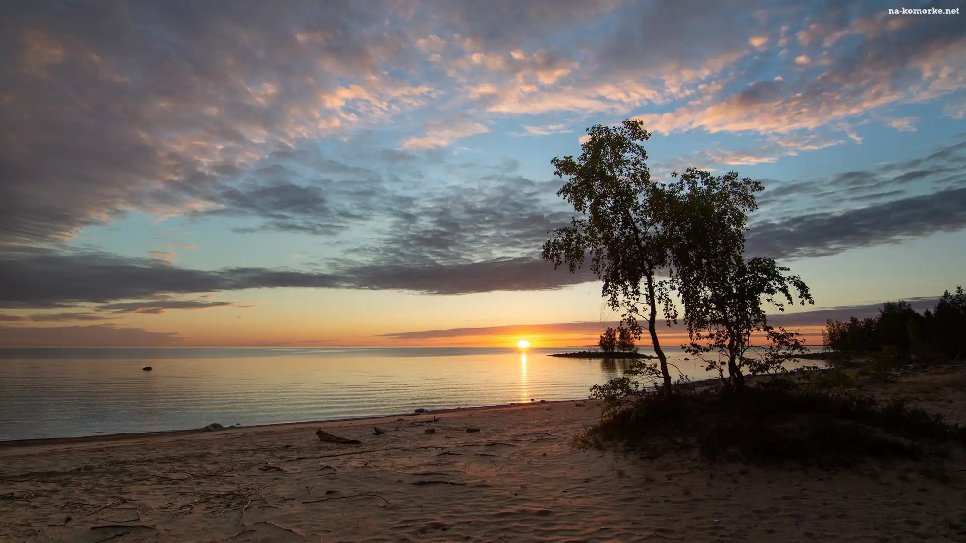 Zachód słońca, Drzewa, Morze, Plaża