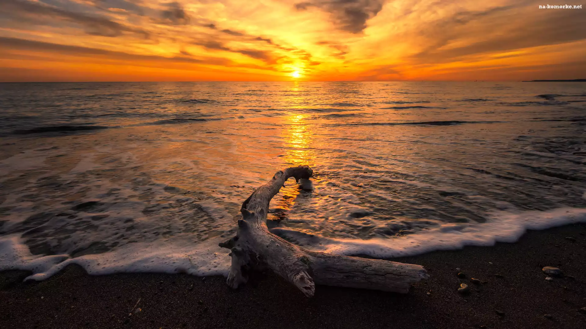 Fale, Uschnięty, Morze, Zachód słońca, Plaża, Konar