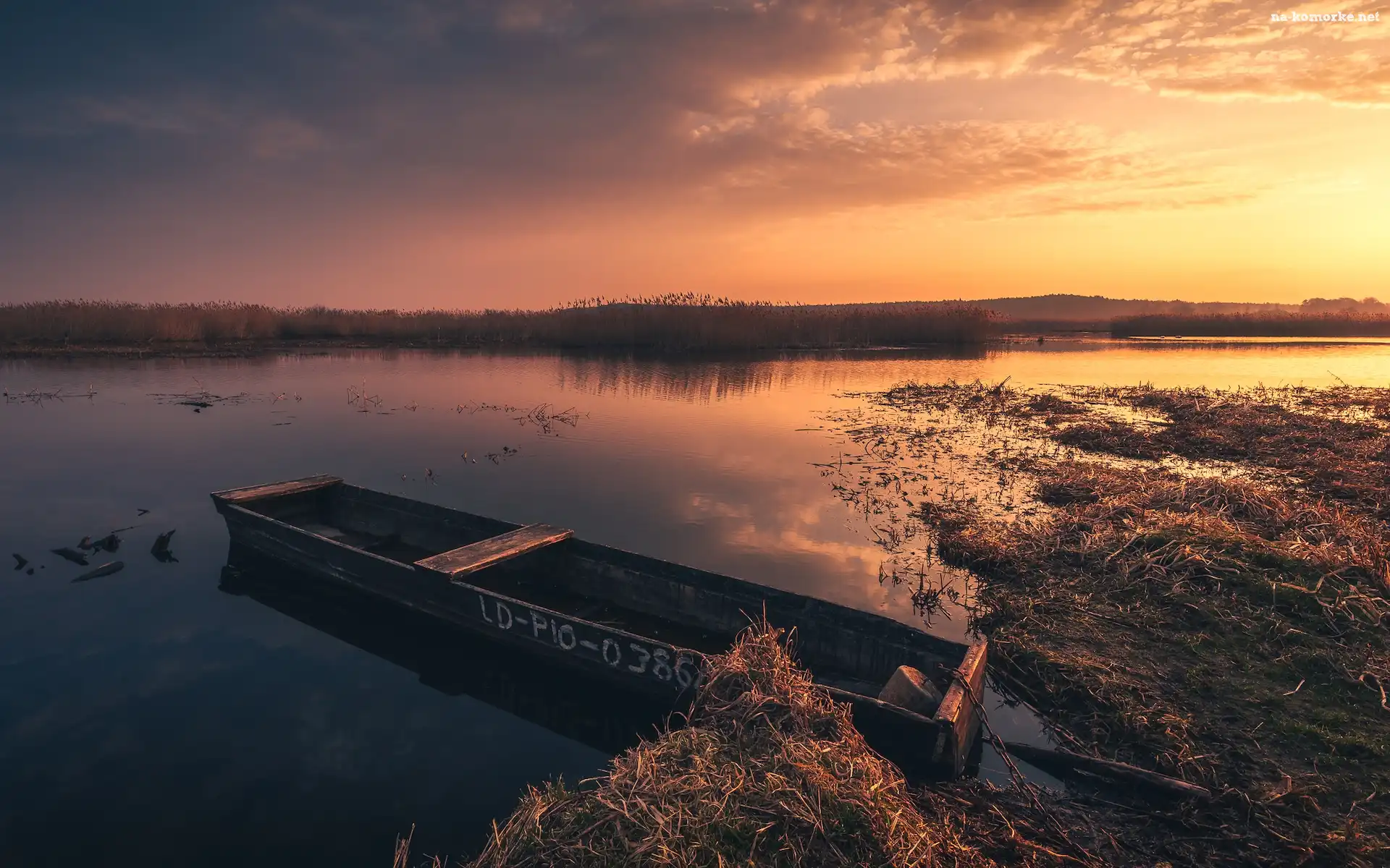 Zachód słońca, Szuwary, Rzeka, Łódka