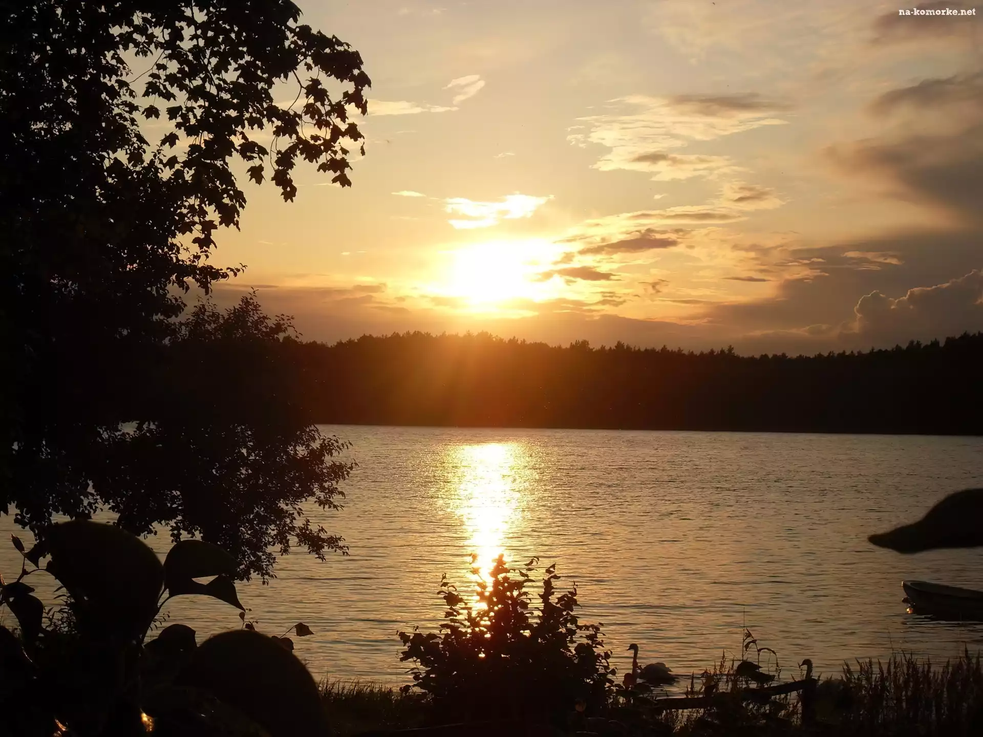 Zachód, Las, Słońca, Jezioro