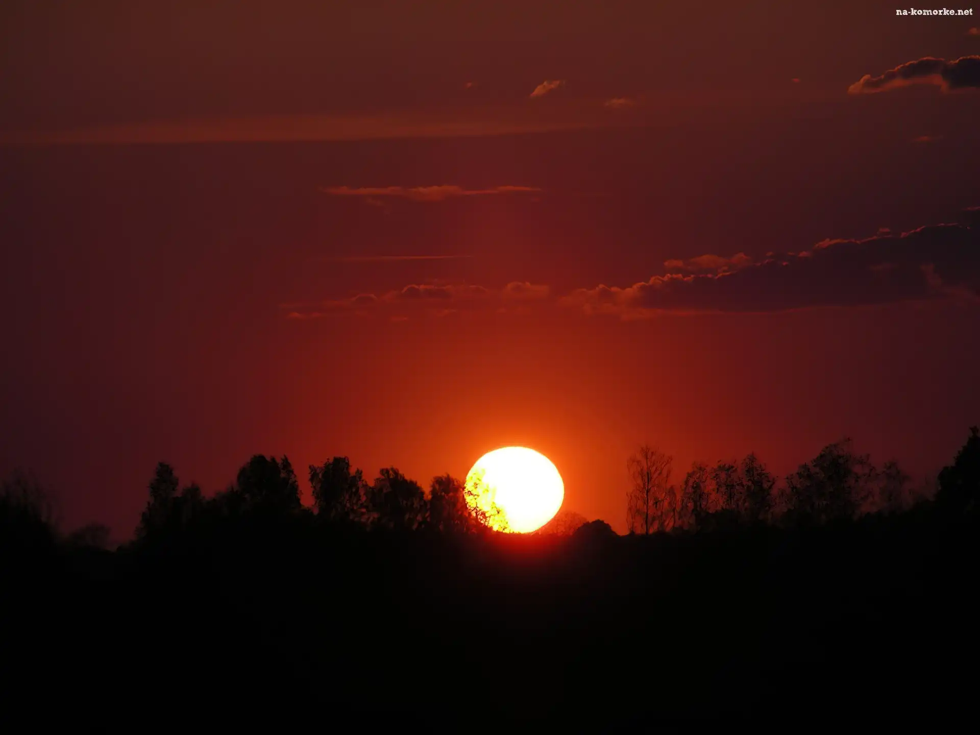 Zachodzące, Niebo, Słońce, Drzewa