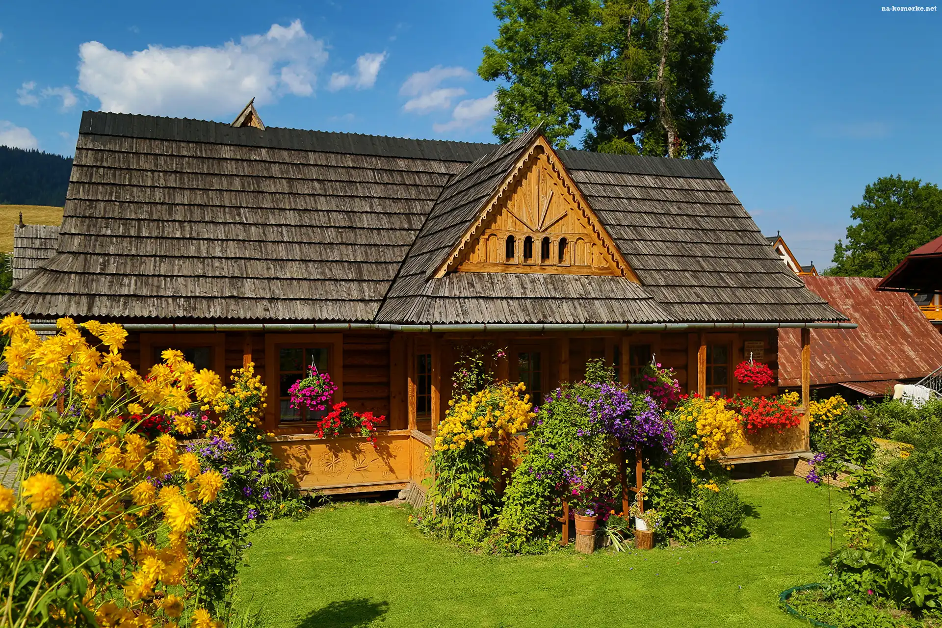 Zakopane, Ogród, Dom, Kwiaty