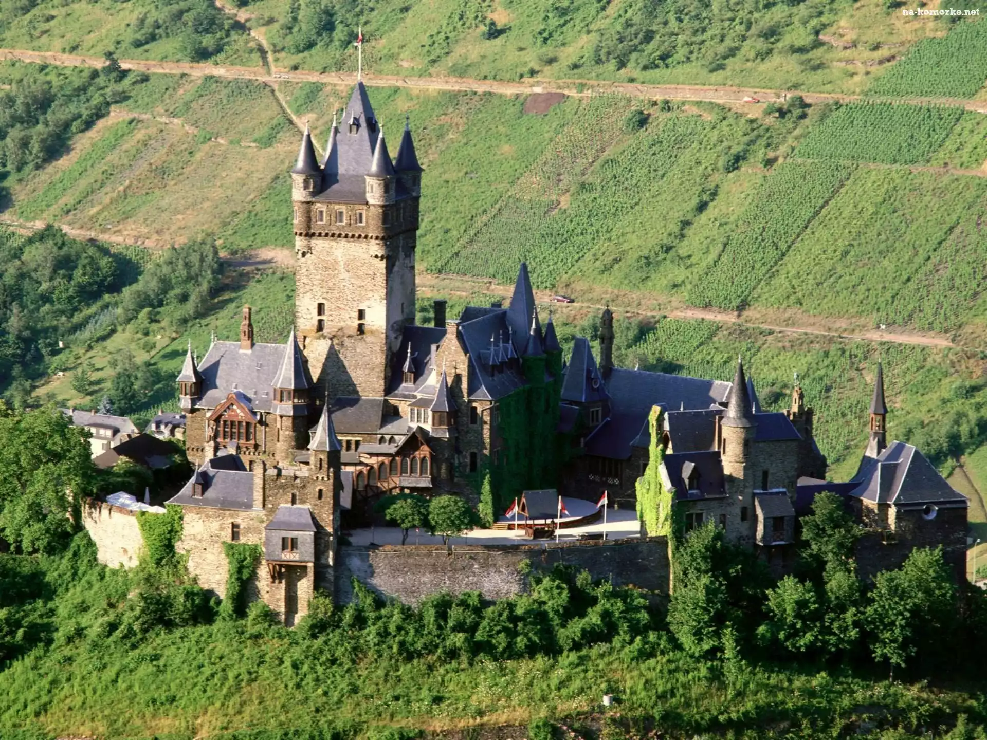Zamek, Uprawne, Łąki, Pola