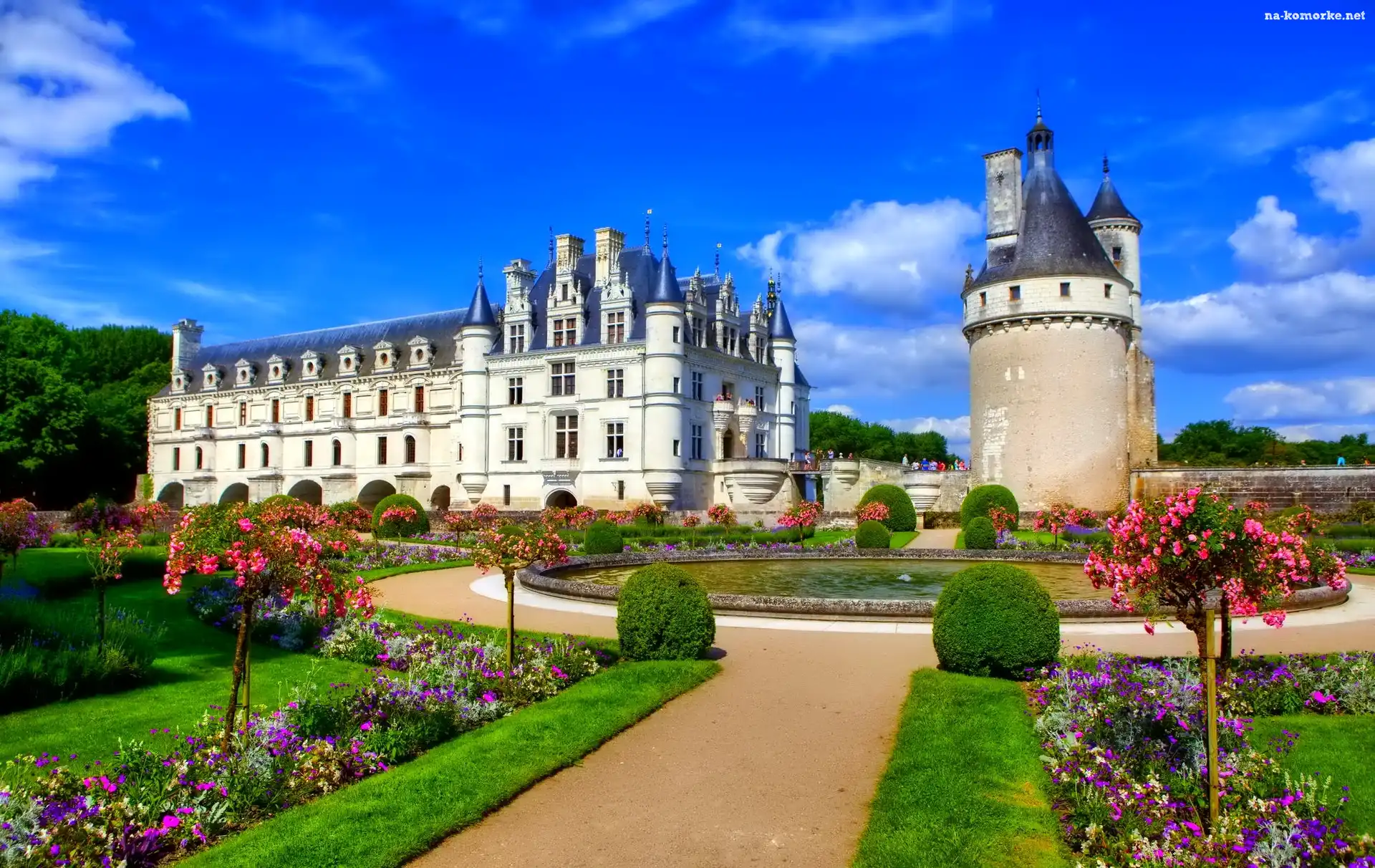 Zamek, Francja, Chenonceau, Ogród