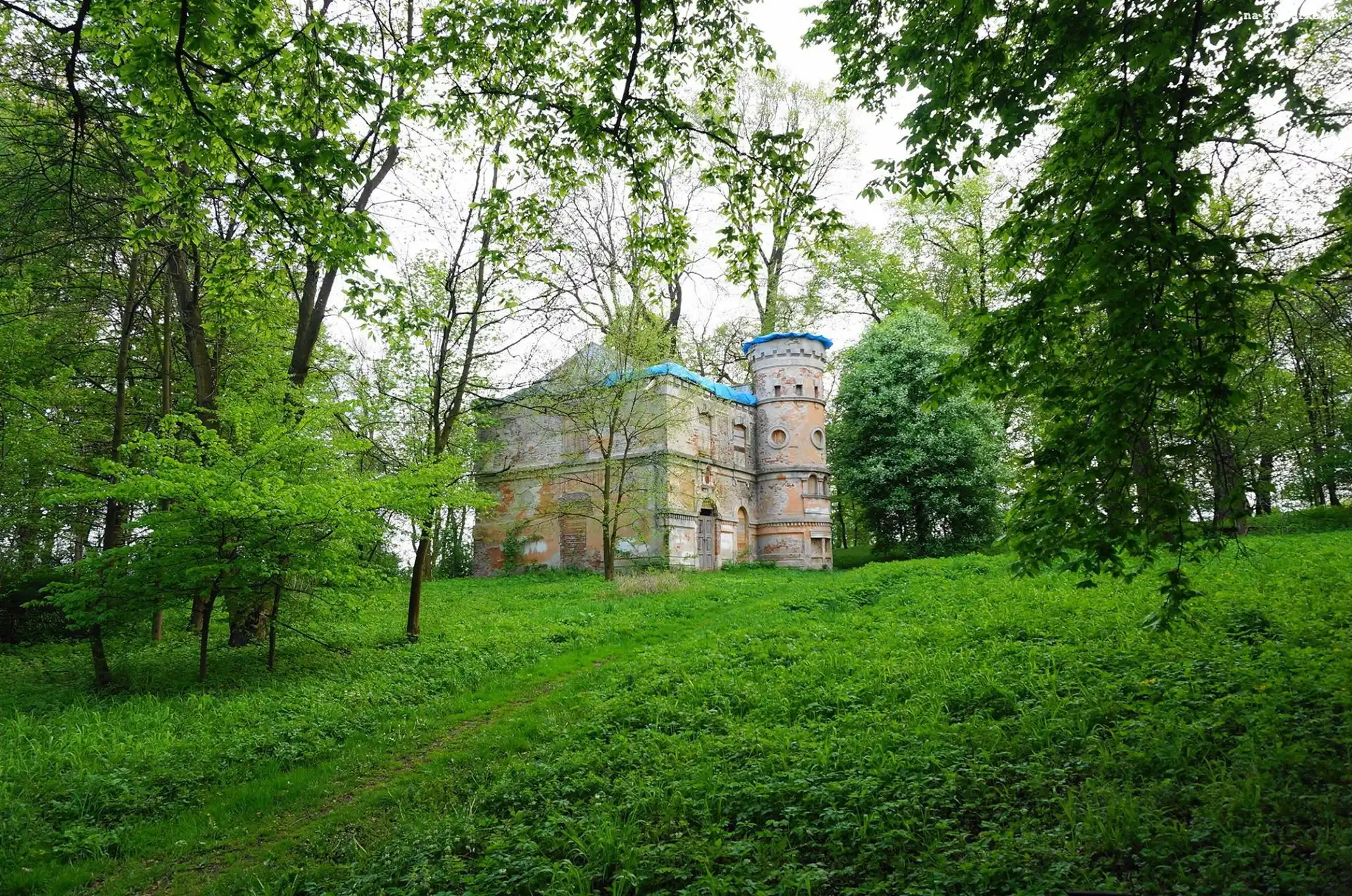 Zamek, Drzewa
