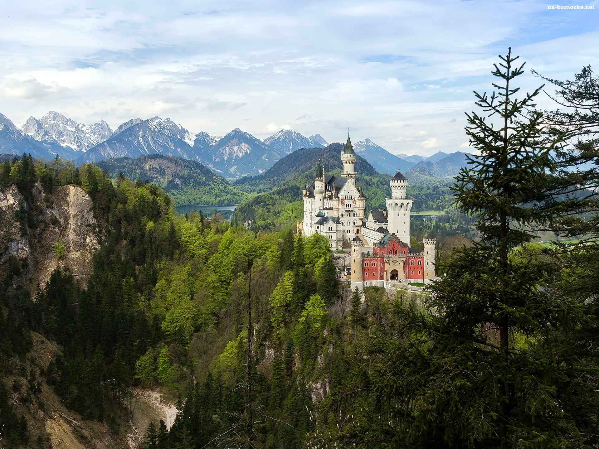 Zamek, Lasy, Neuschwanstein, Góry
