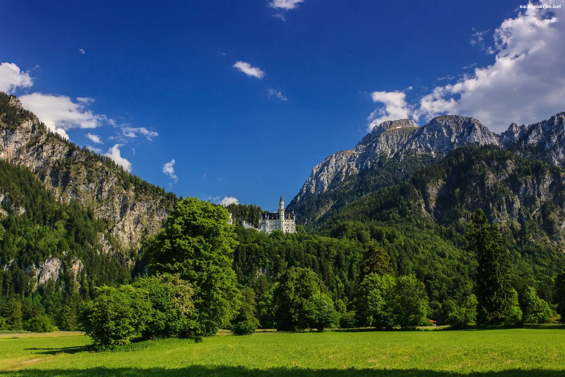 Zamek, Niemcy, Neuschwanstein, Bawaria
