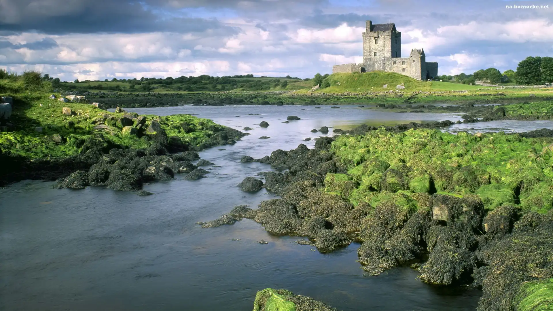 Skały, Zamek, Eilean Donan, Szkocja, Zielone