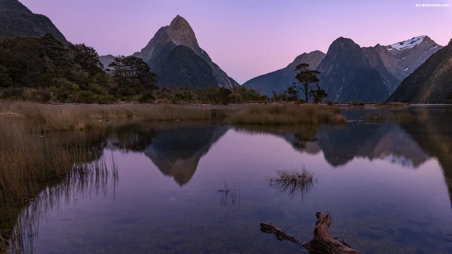 Zatoka Milforda, Alpy Południowe, Nowa Zelandia, Góry, Wyspa Południowa, Park Narodowy Fiordland, Fiord Milford, Góra Mitre Peak, Odbicie, Konar