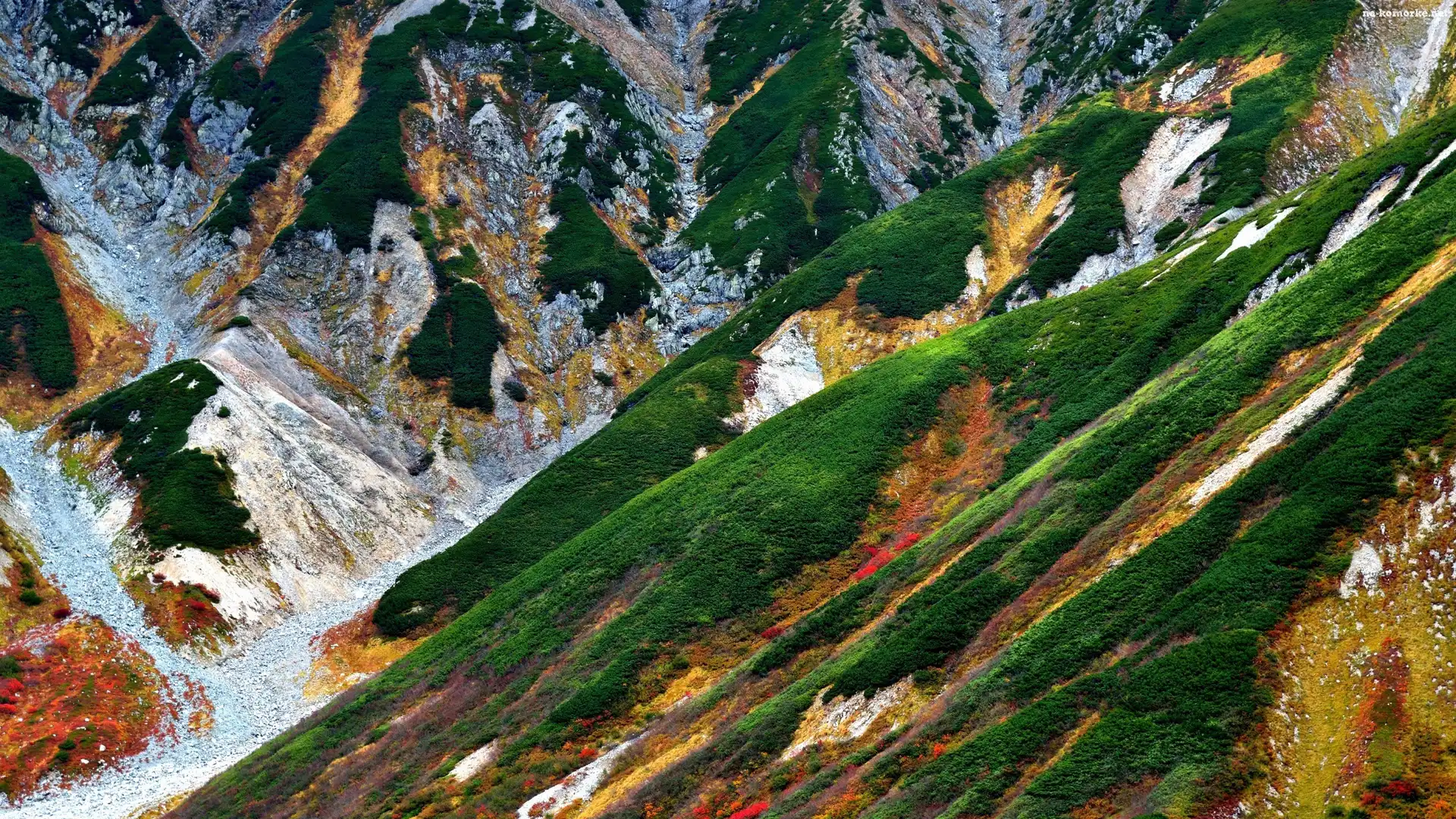 Japonia, Zbocza, Roślinność, Góra Mount Tate, Tateyama