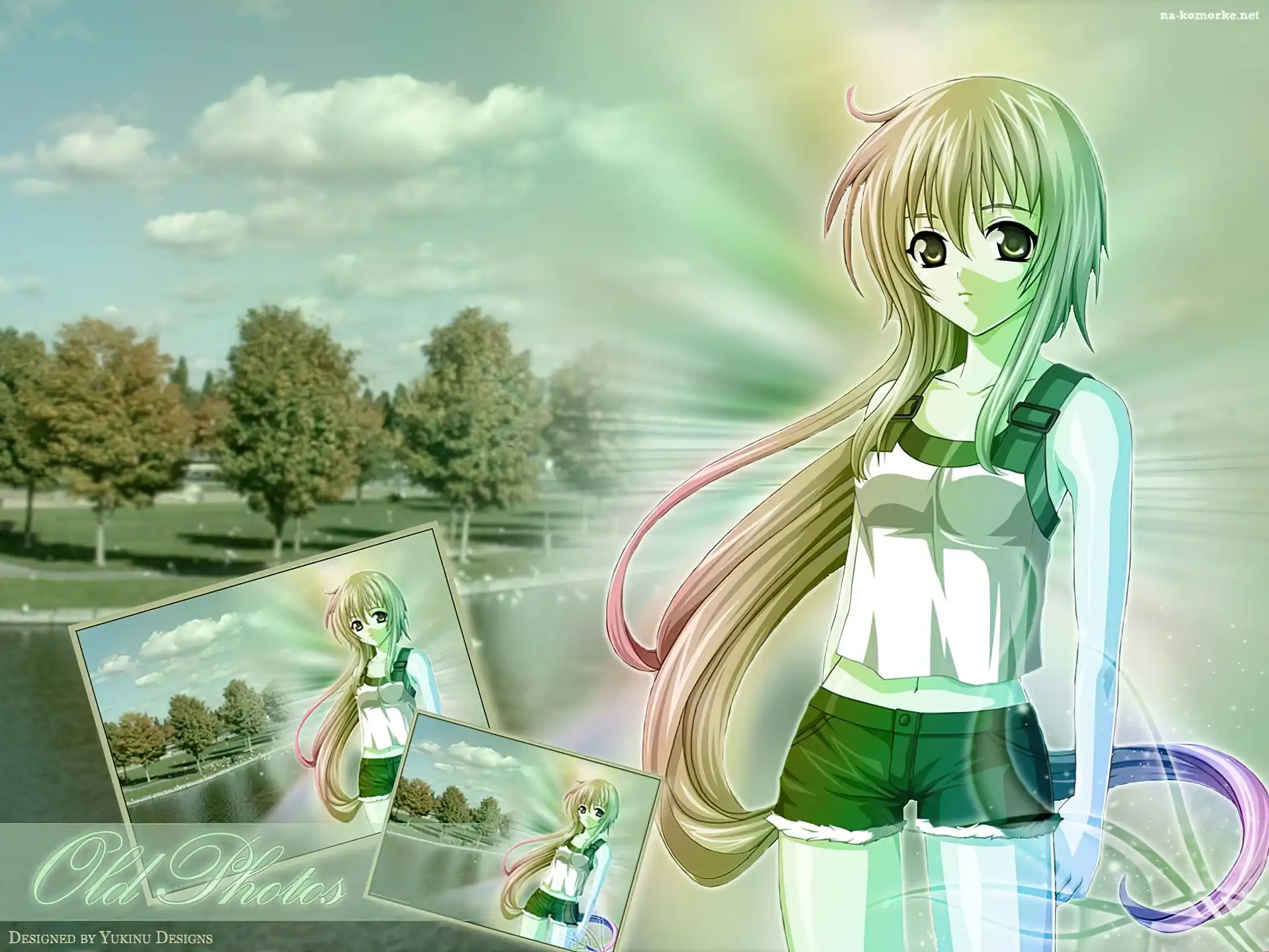 zdjęcia, Cg Art, drzewa, park, spodenki
