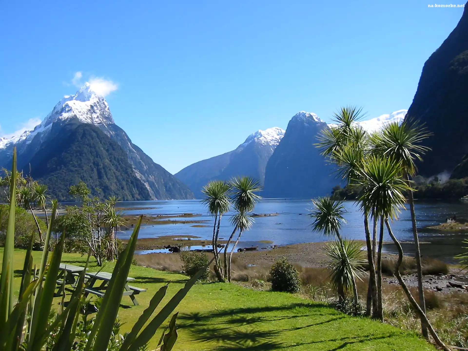 Nowa Zelandia, Jezioro, Góry, Roślinność, Milford Sound